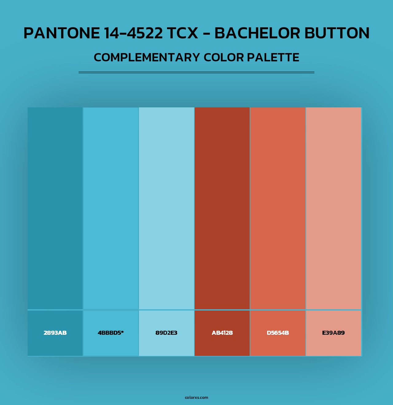 PANTONE 14-4522 TCX - Bachelor Button - Complementary Color Palette