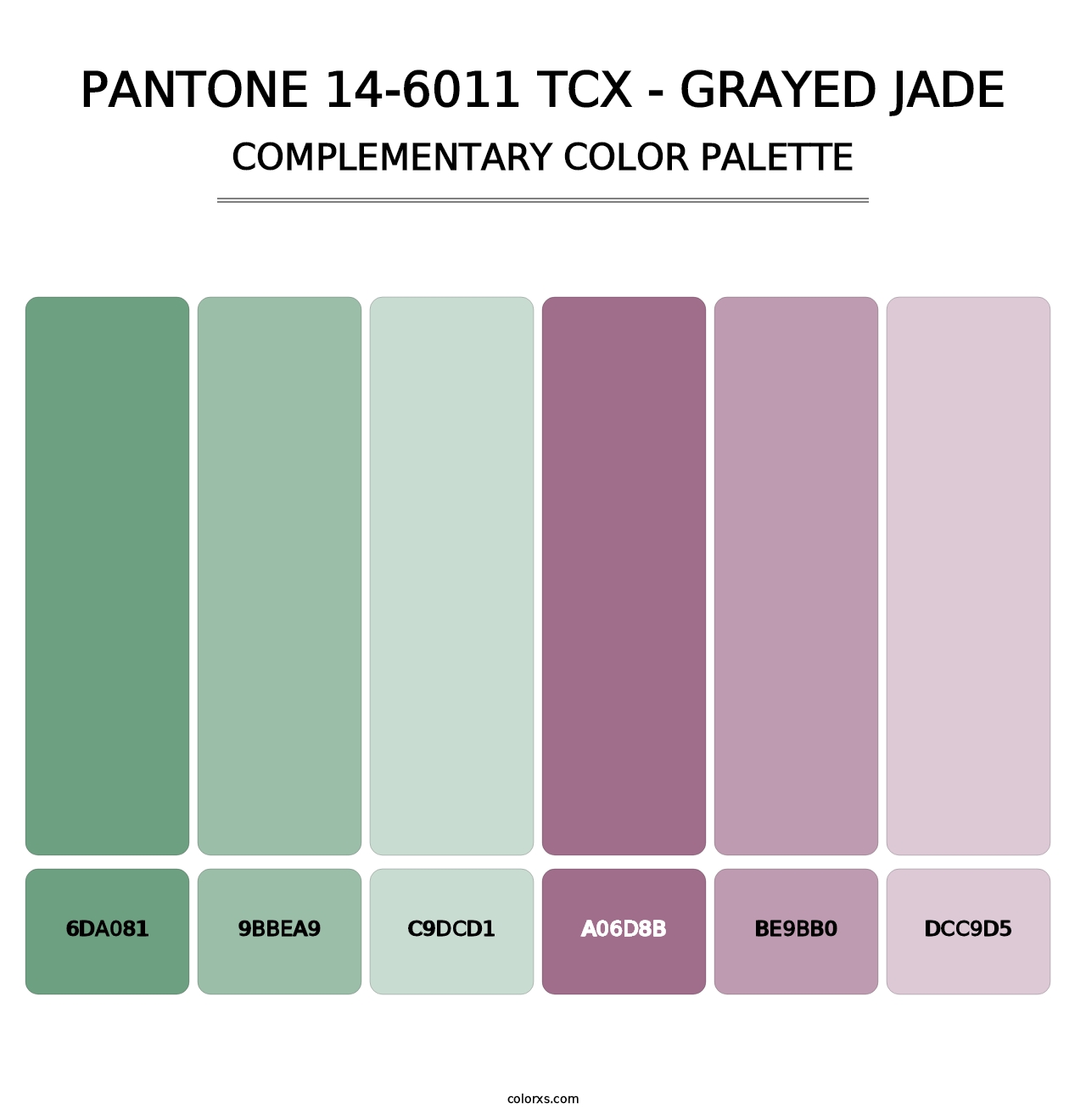PANTONE 14-6011 TCX - Grayed Jade - Complementary Color Palette