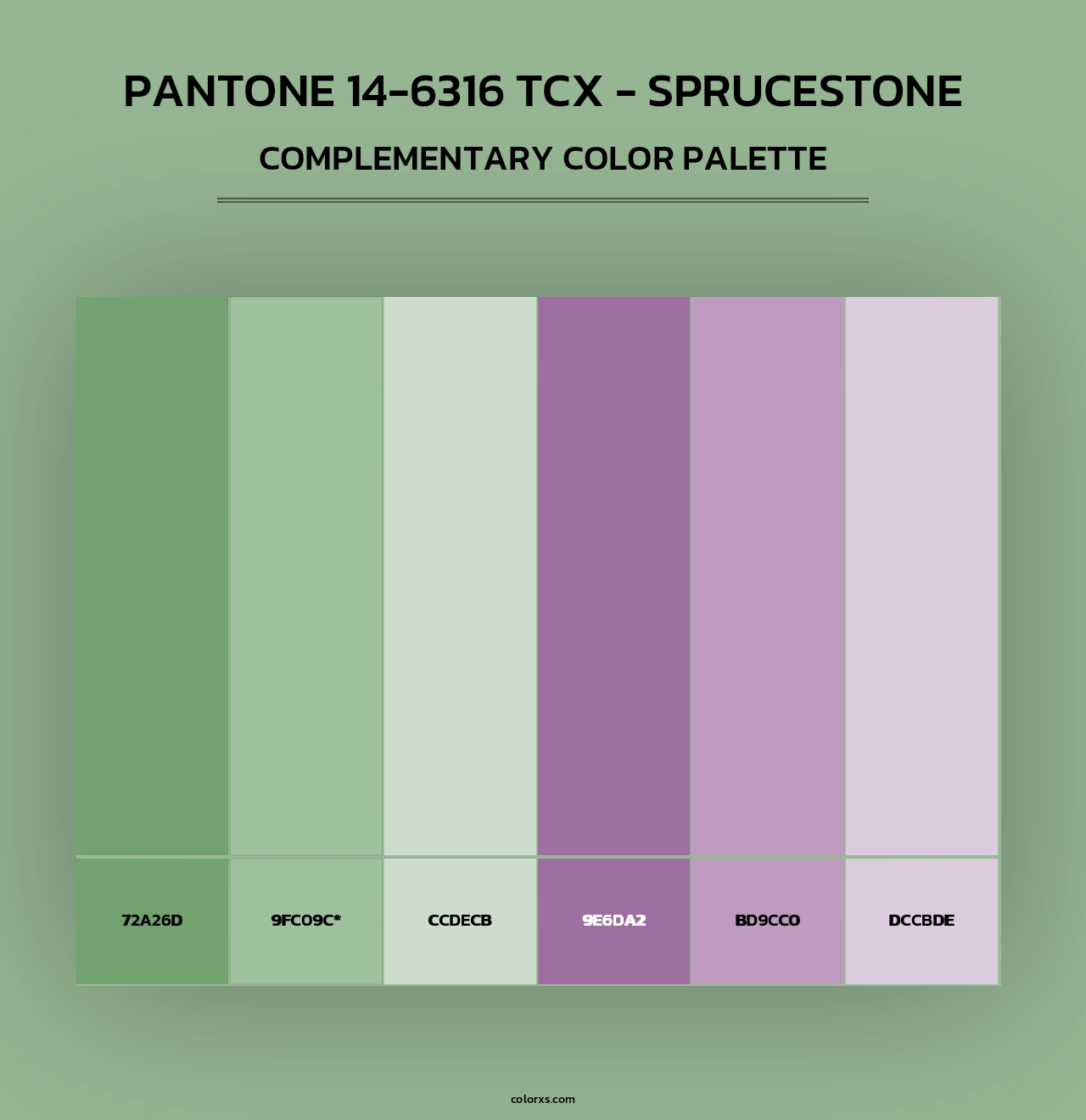 PANTONE 14-6316 TCX - Sprucestone - Complementary Color Palette