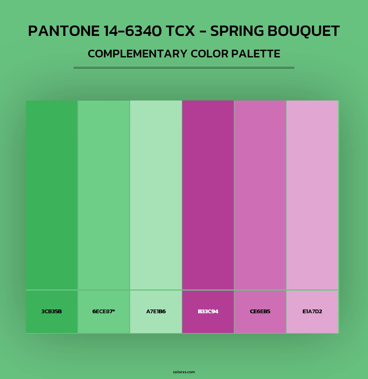 PANTONE 14-6340 TCX - Spring Bouquet - Complementary Color Palette