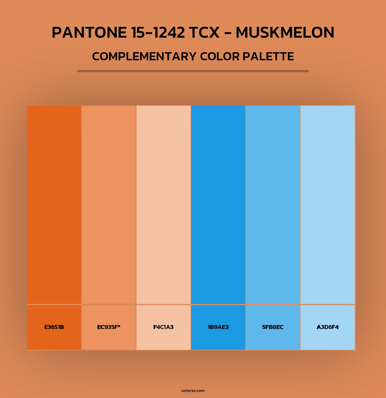 Pantone 15-1242 TCX - Muskmelon - Complementary Color Palette