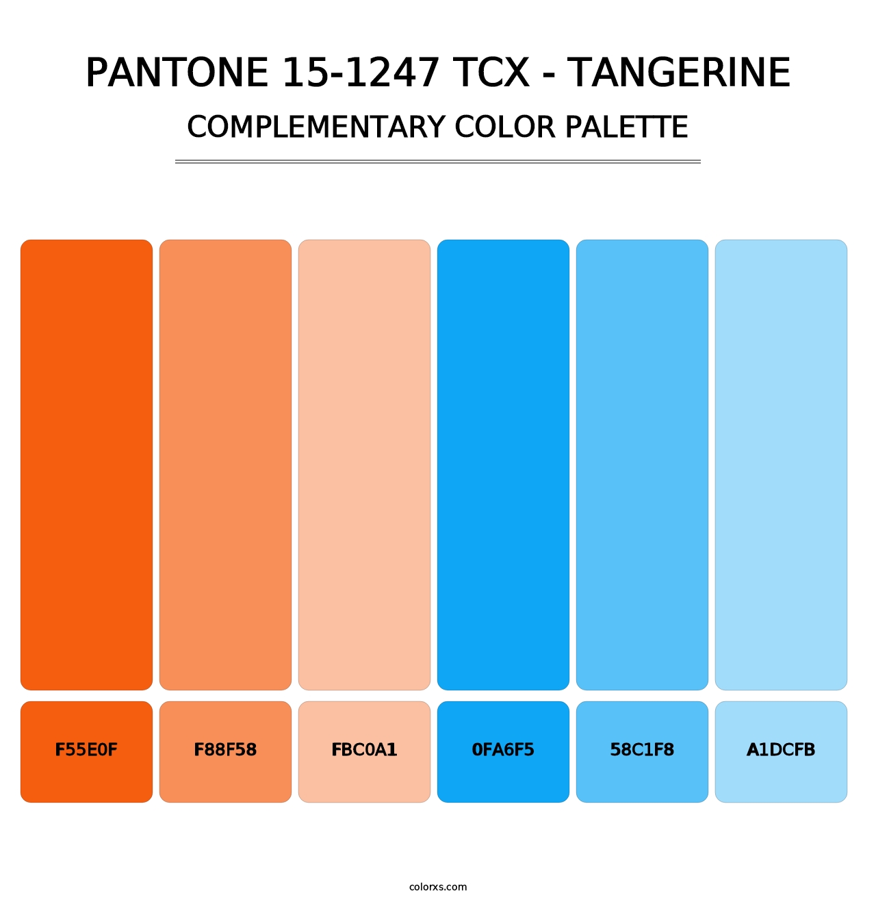 PANTONE 15-1247 TCX - Tangerine - Complementary Color Palette