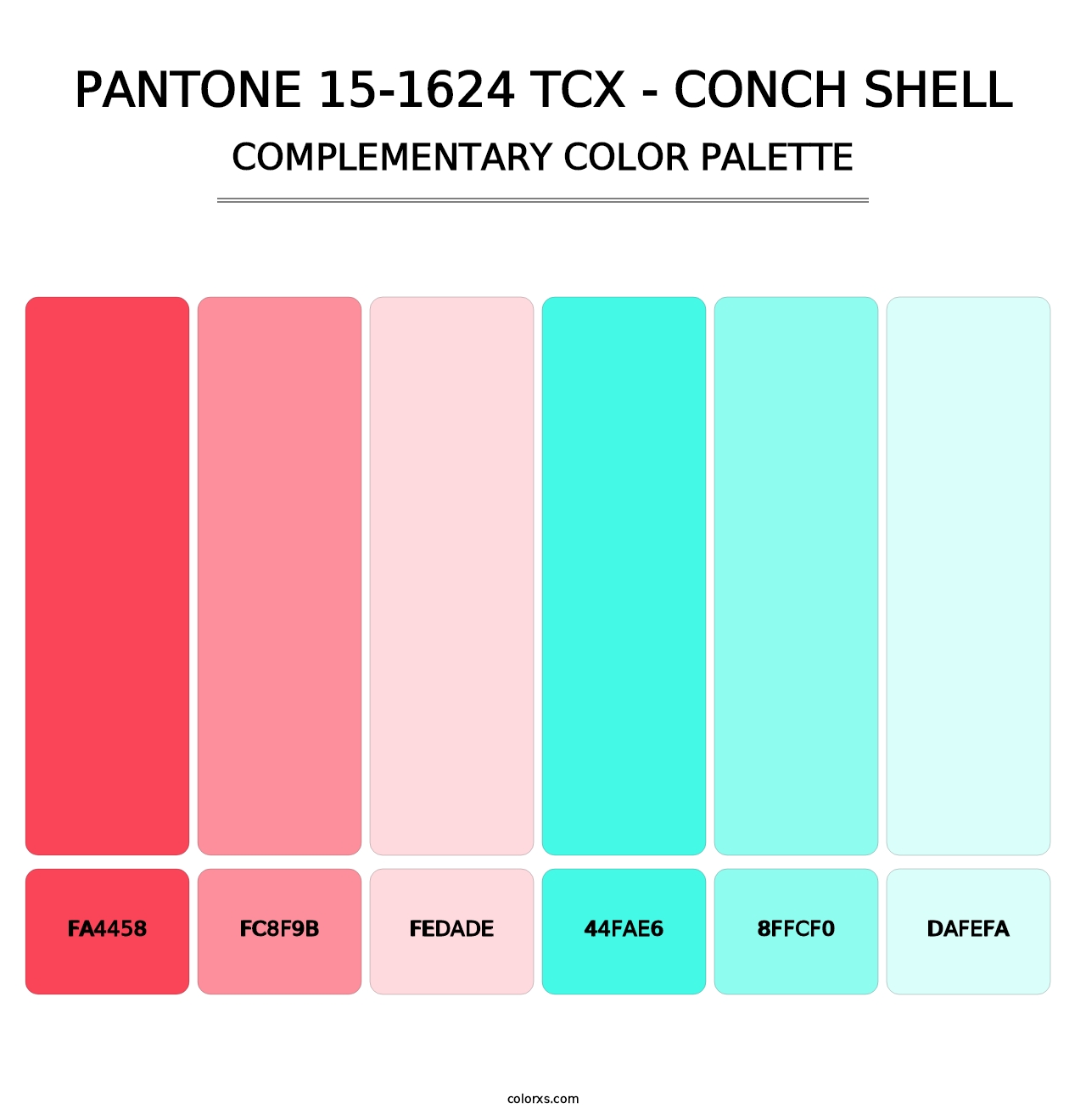 PANTONE 15-1624 TCX - Conch Shell - Complementary Color Palette