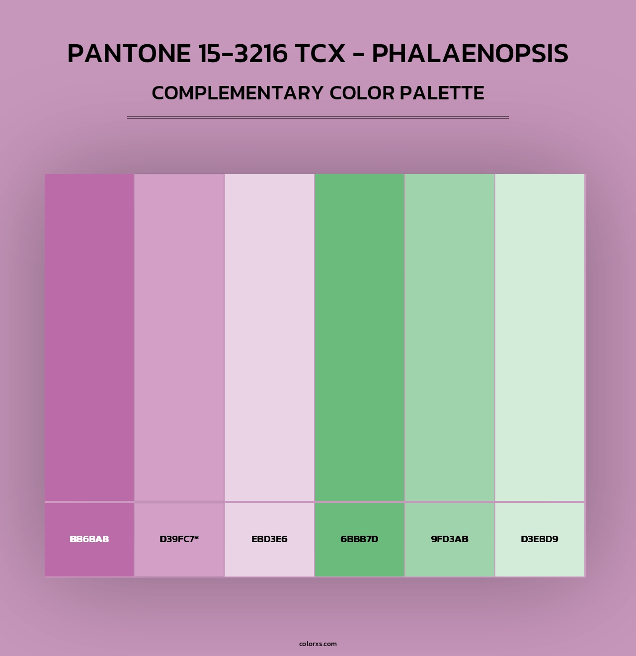 PANTONE 15-3216 TCX - Phalaenopsis - Complementary Color Palette