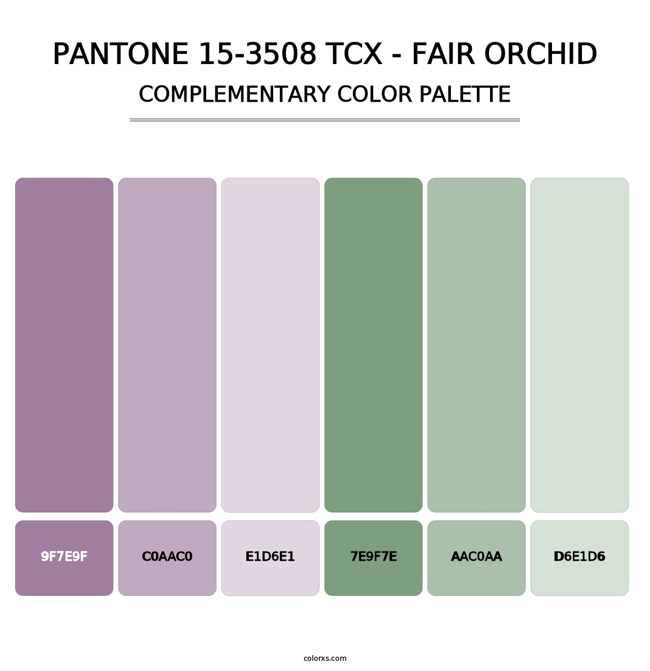 PANTONE 15-3508 TCX - Fair Orchid - Complementary Color Palette