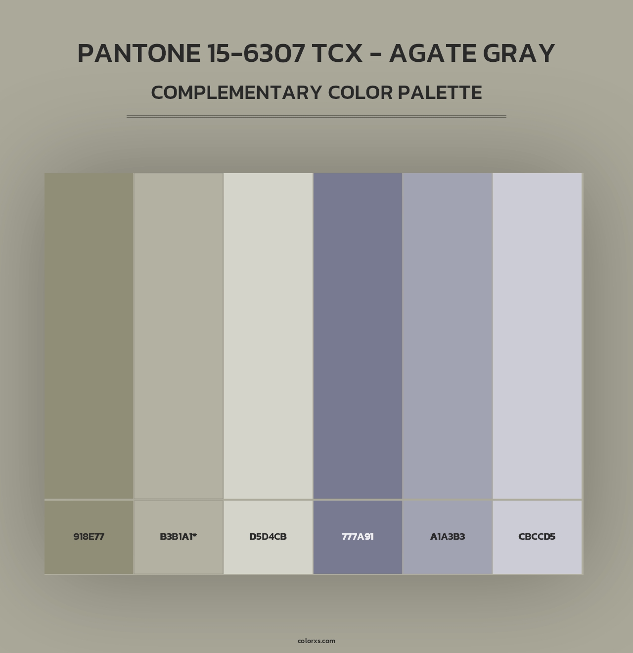 PANTONE 15-6307 TCX - Agate Gray - Complementary Color Palette