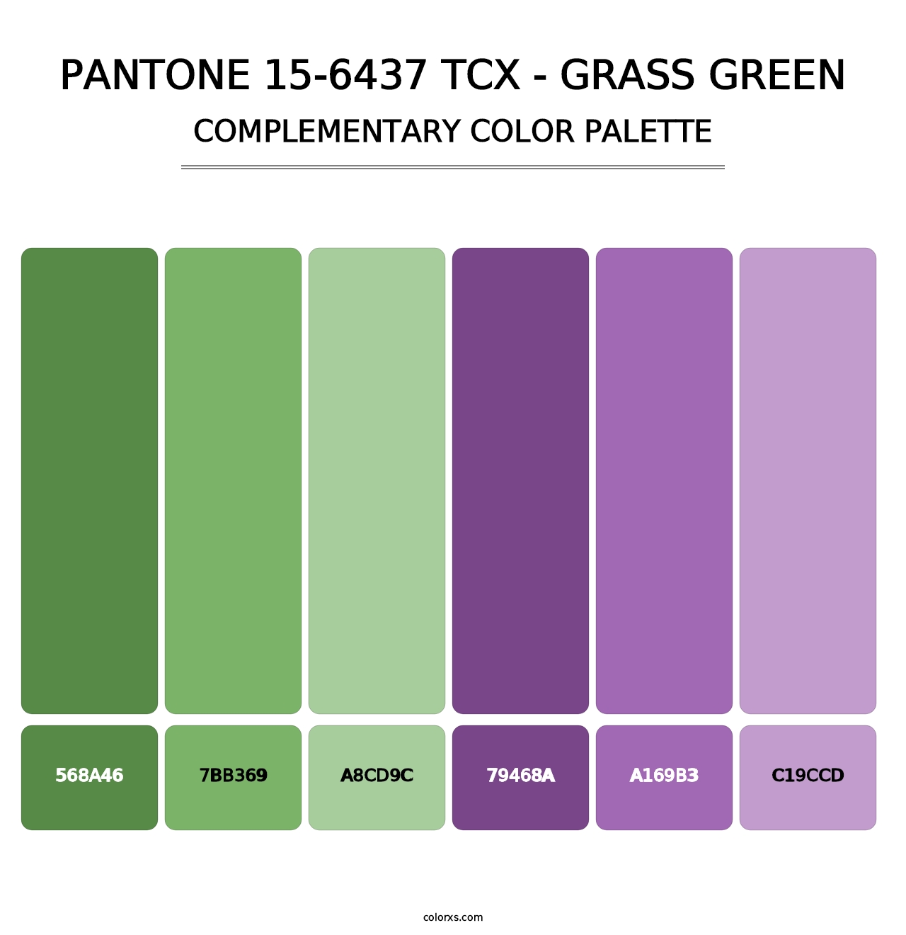 PANTONE 15-6437 TCX - Grass Green - Complementary Color Palette
