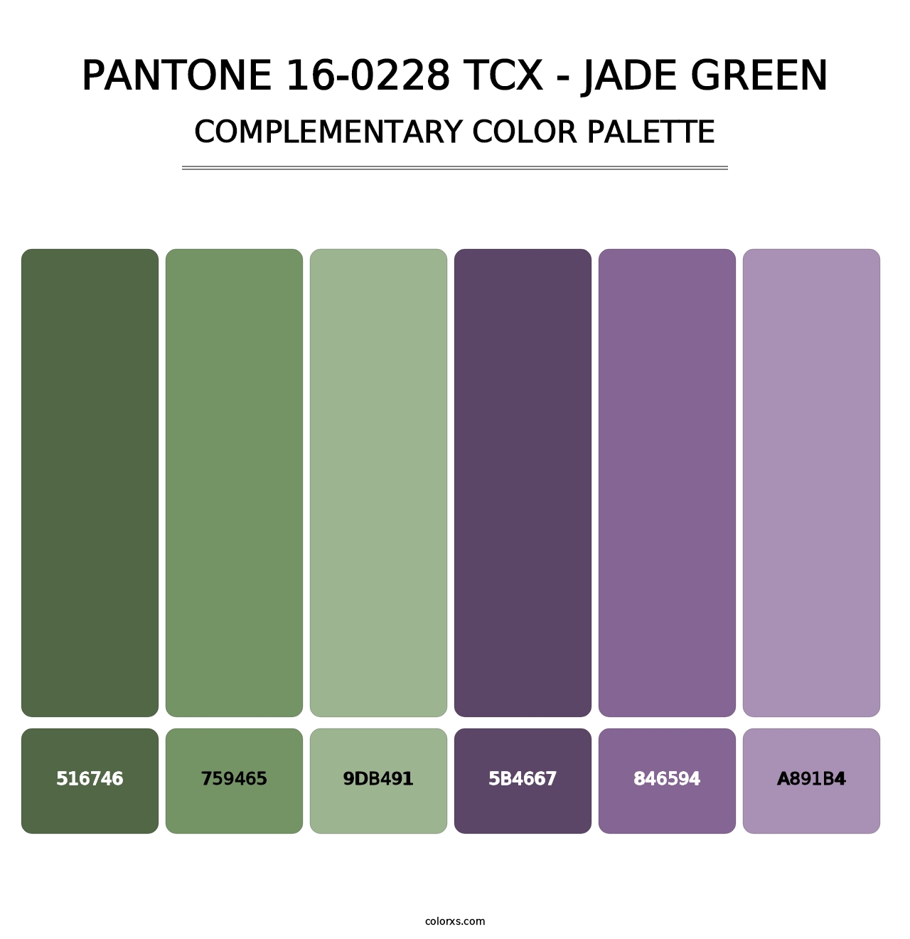 PANTONE 16-0228 TCX - Jade Green - Complementary Color Palette