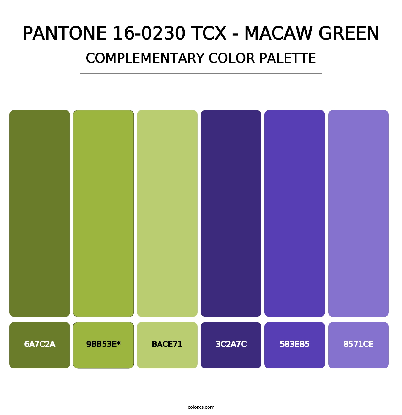 PANTONE 16-0230 TCX - Macaw Green - Complementary Color Palette