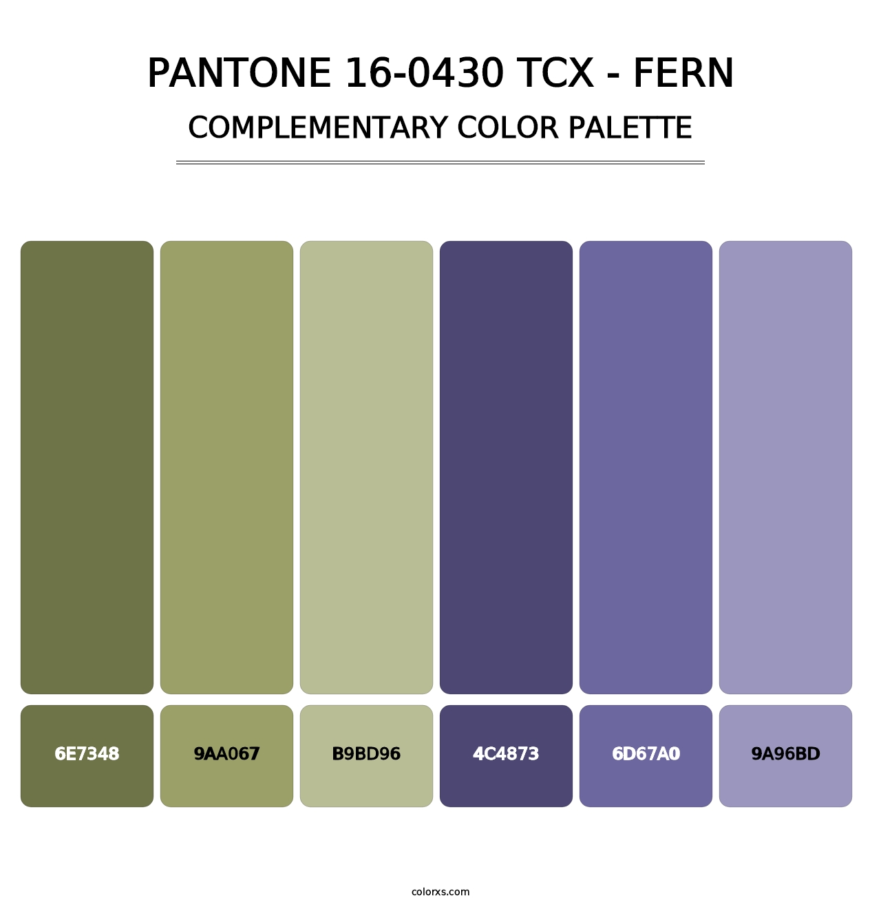 PANTONE 16-0430 TCX - Fern - Complementary Color Palette
