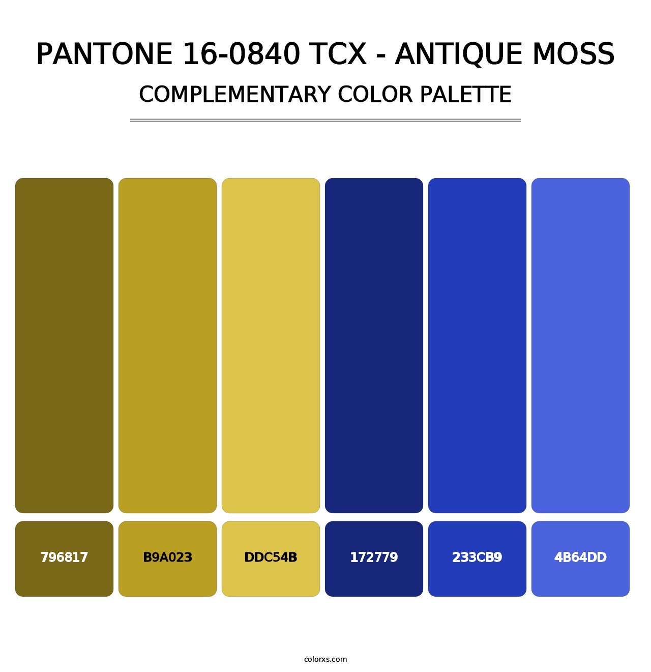 PANTONE 16-0840 TCX - Antique Moss - Complementary Color Palette