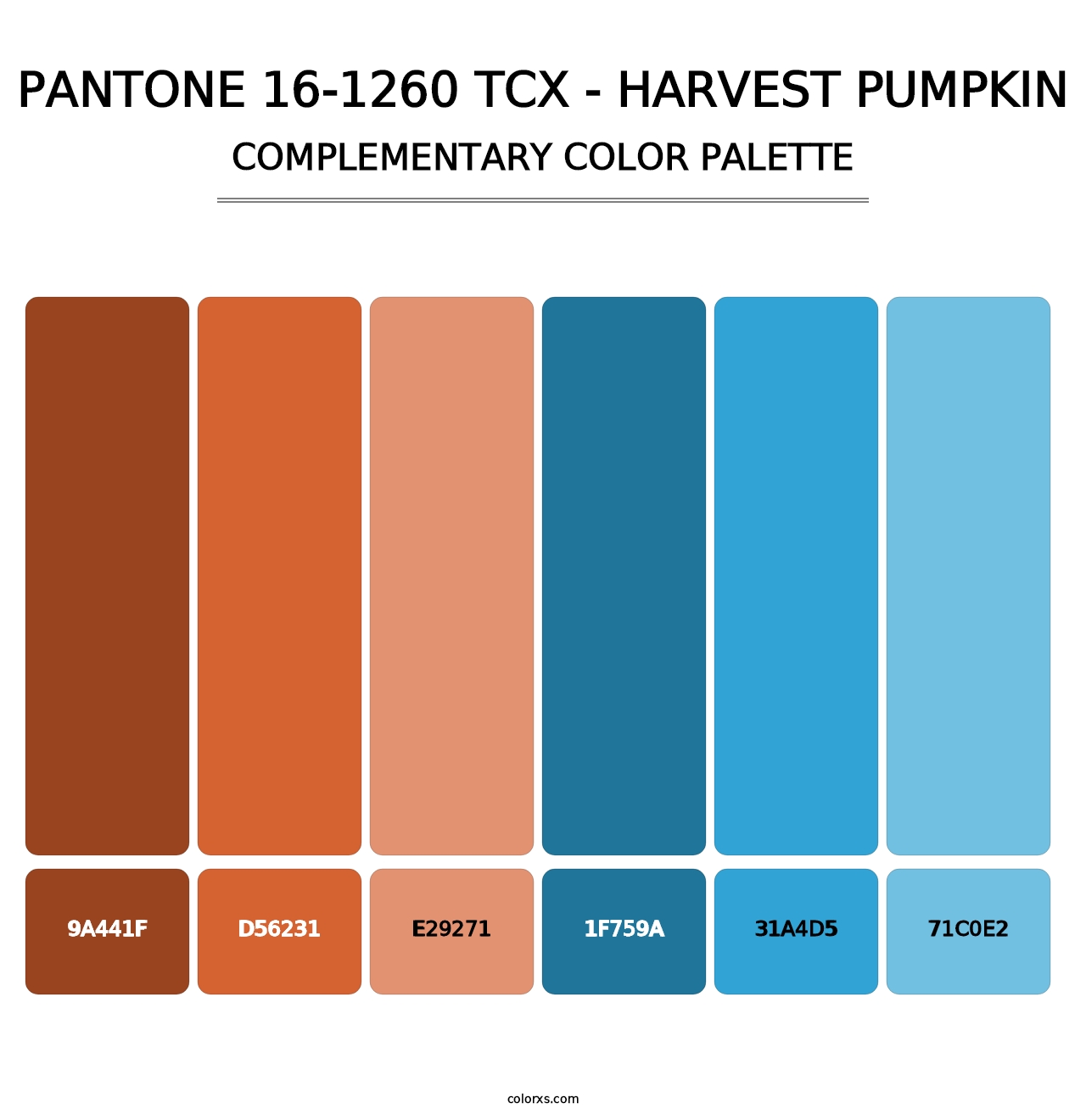 PANTONE 16-1260 TCX - Harvest Pumpkin - Complementary Color Palette