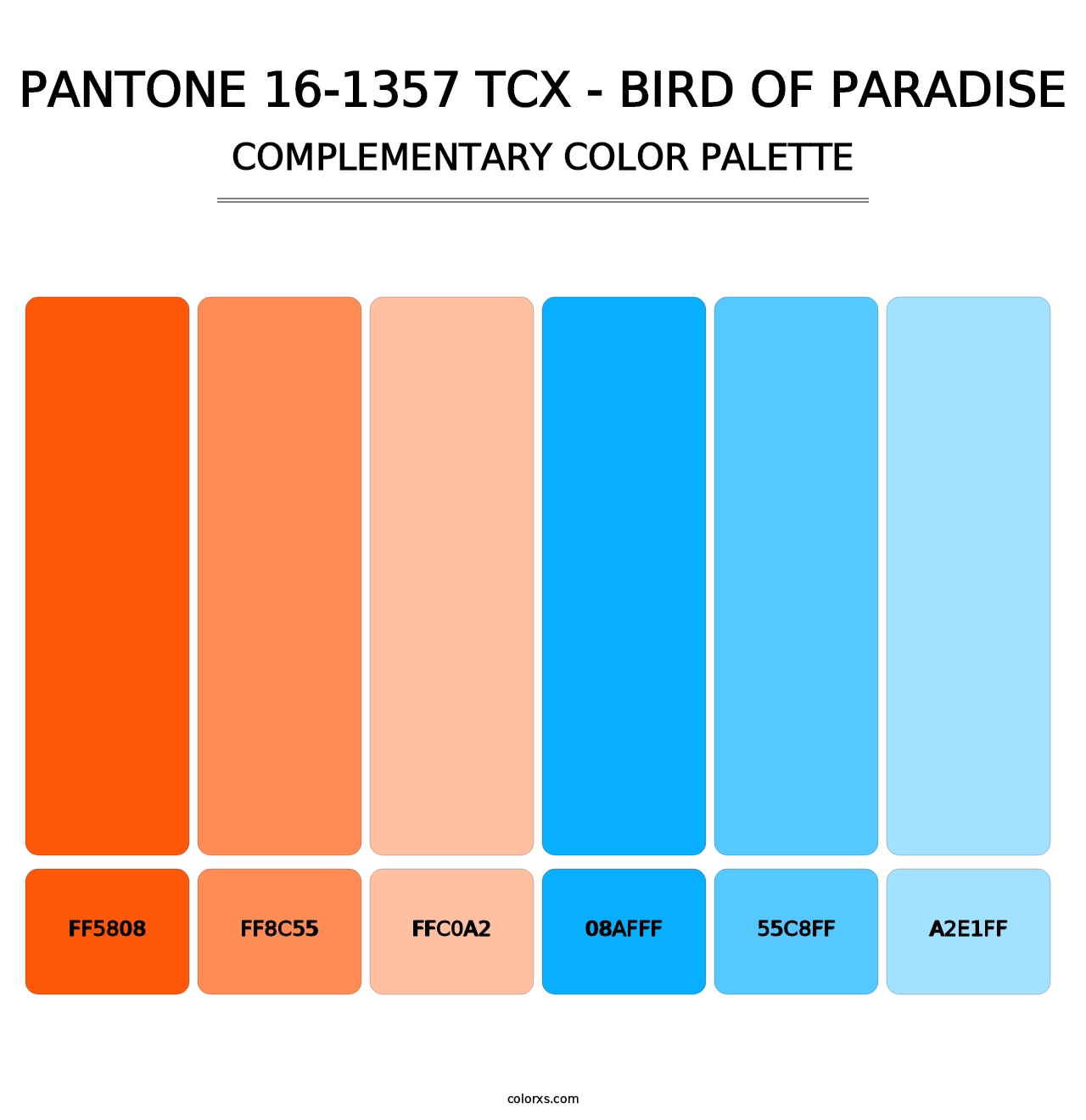 PANTONE 16-1357 TCX - Bird of Paradise - Complementary Color Palette