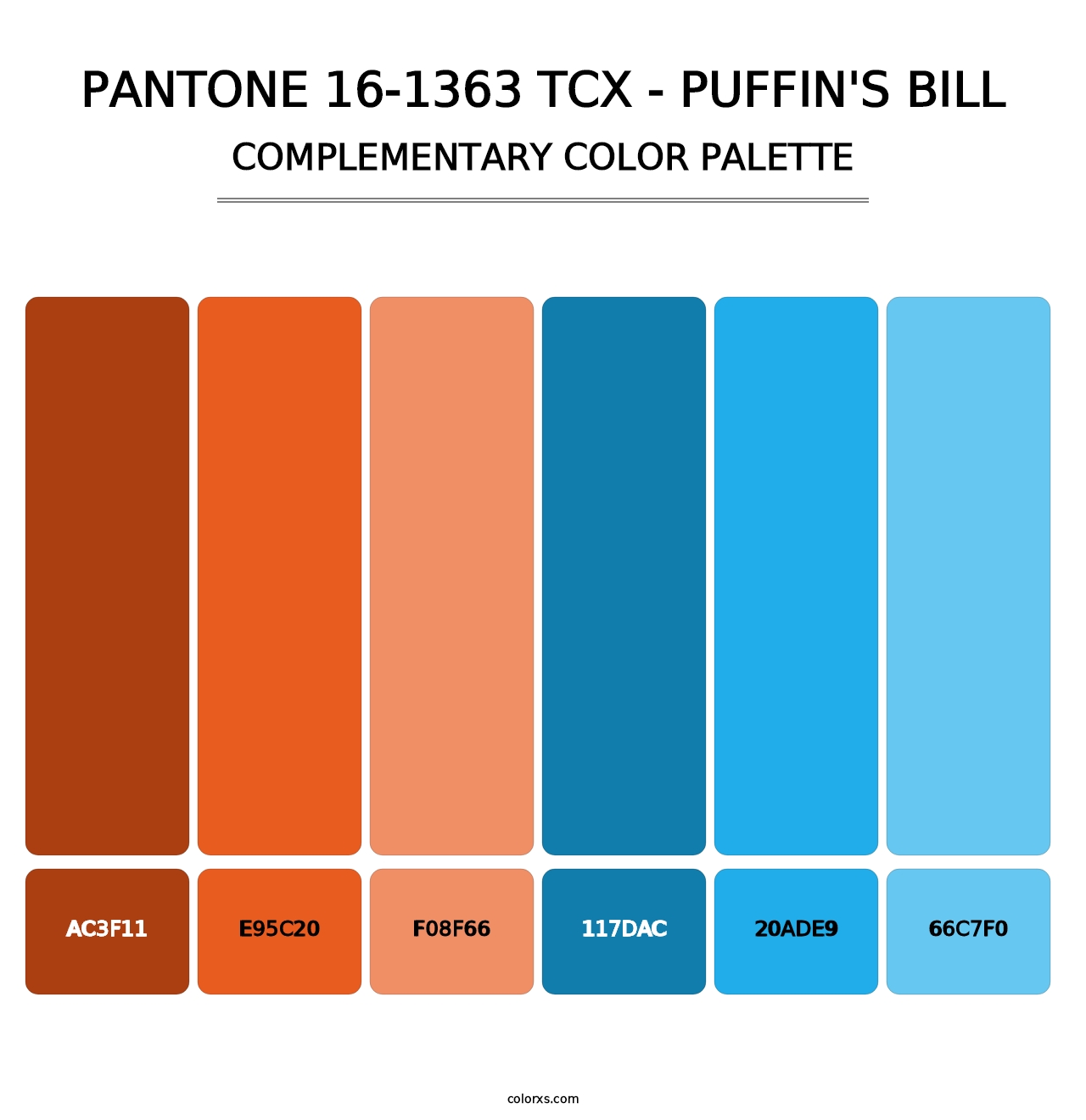 PANTONE 16-1363 TCX - Puffin's Bill - Complementary Color Palette