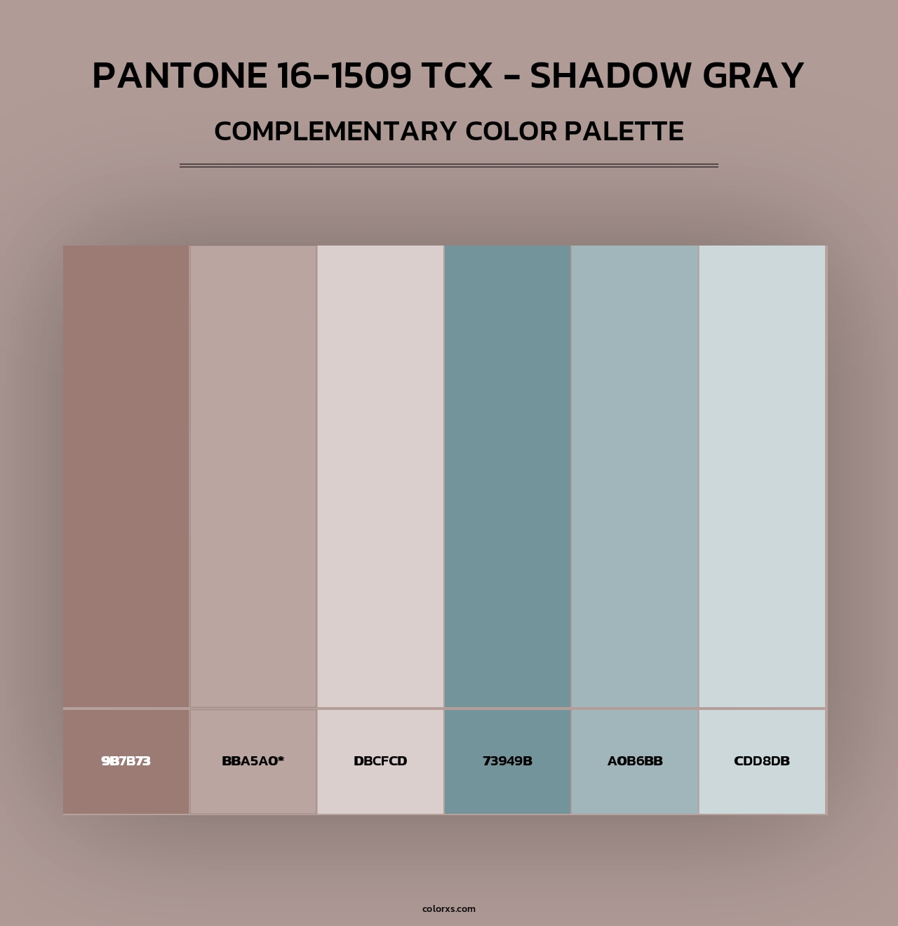 PANTONE 16-1509 TCX - Shadow Gray - Complementary Color Palette