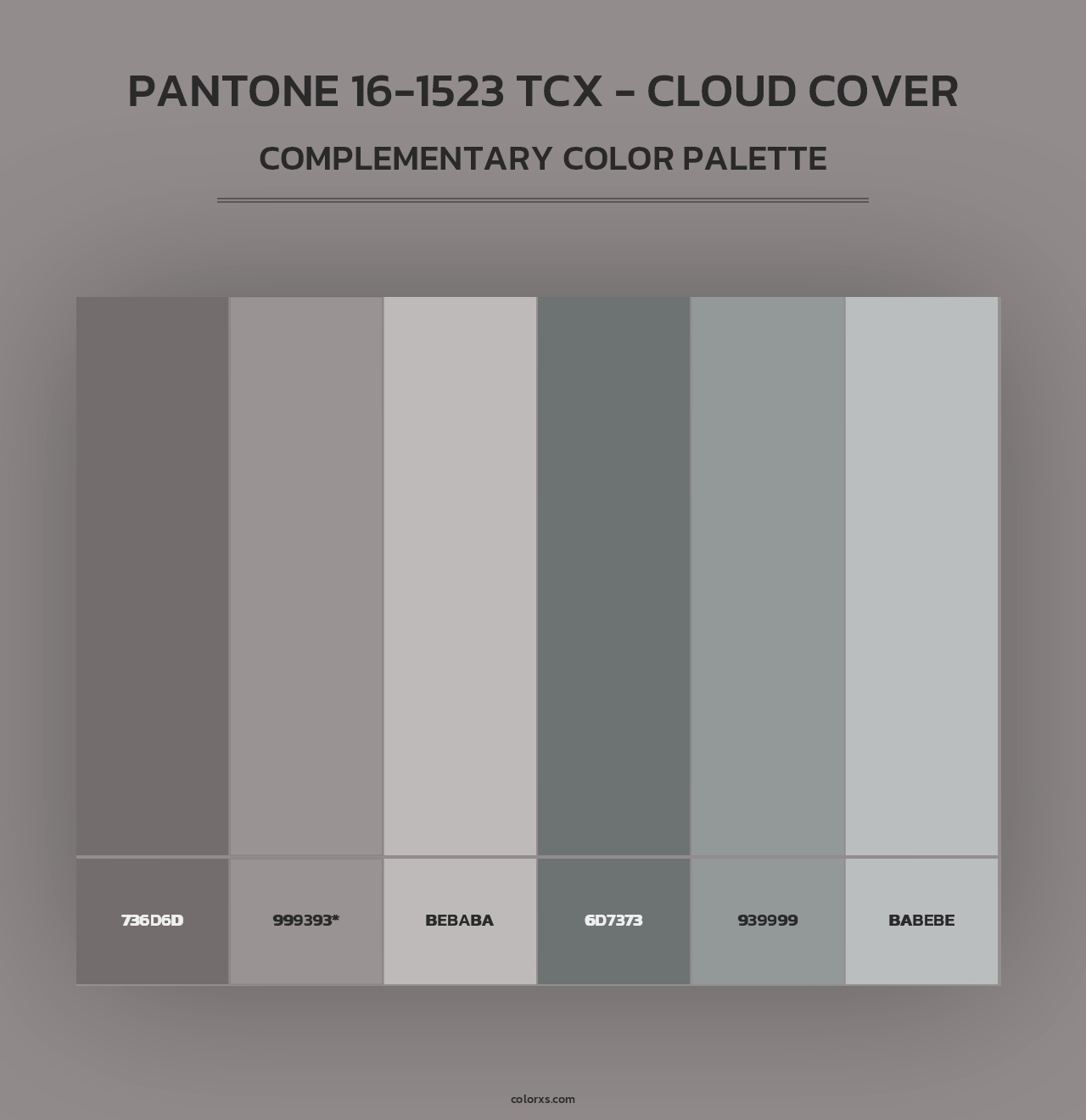 PANTONE 16-1523 TCX - Cloud Cover - Complementary Color Palette