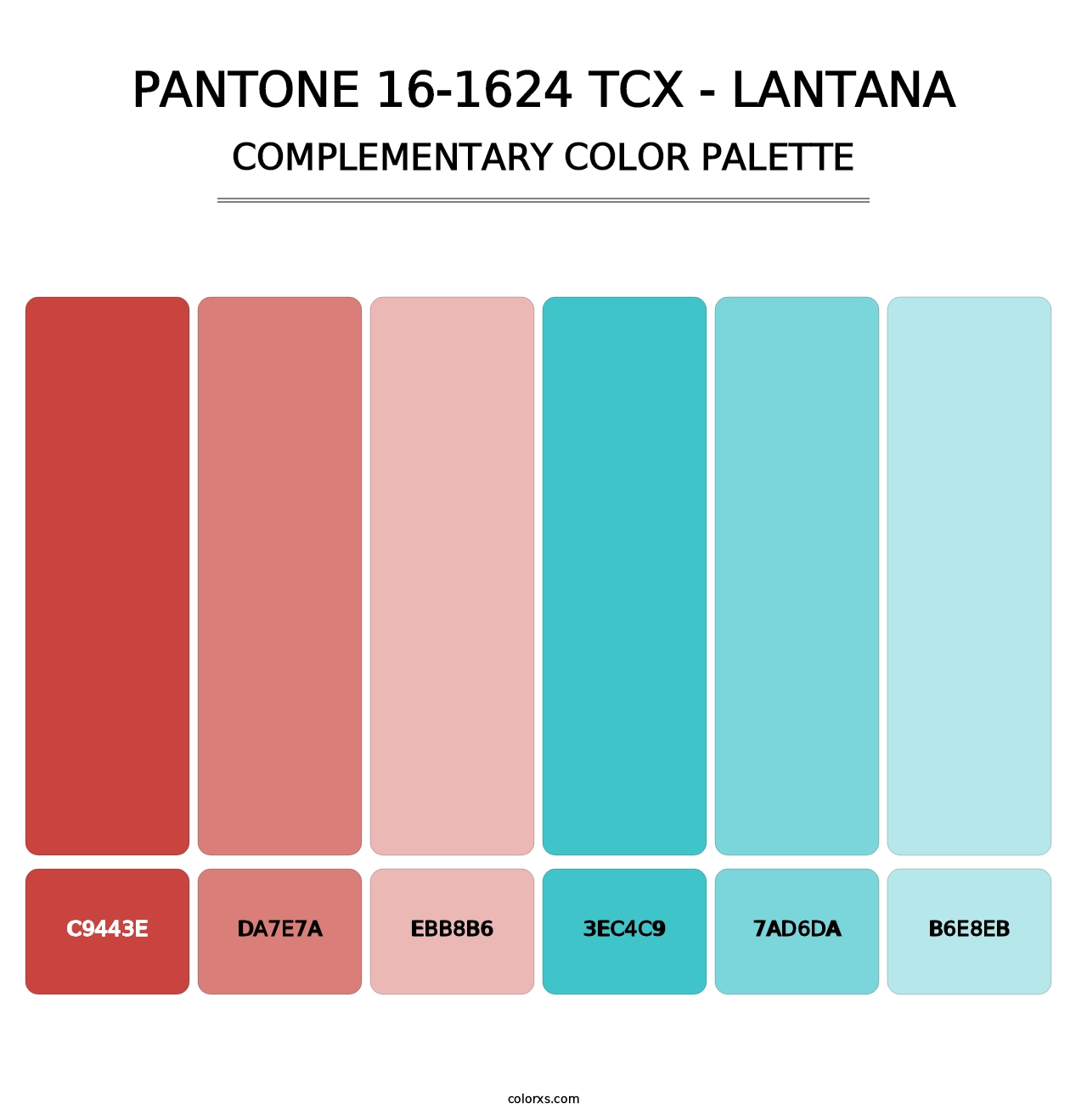 PANTONE 16-1624 TCX - Lantana - Complementary Color Palette
