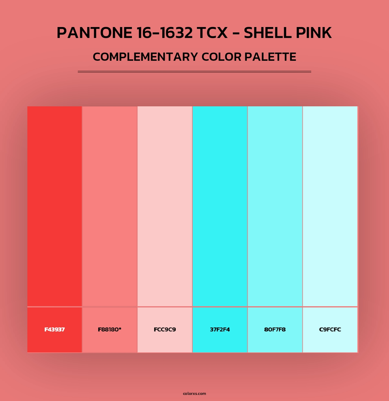 PANTONE 16-1632 TCX - Shell Pink - Complementary Color Palette