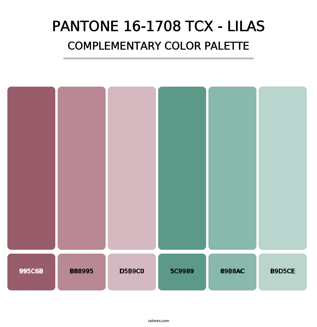 PANTONE 16-1708 TCX - Lilas - Complementary Color Palette
