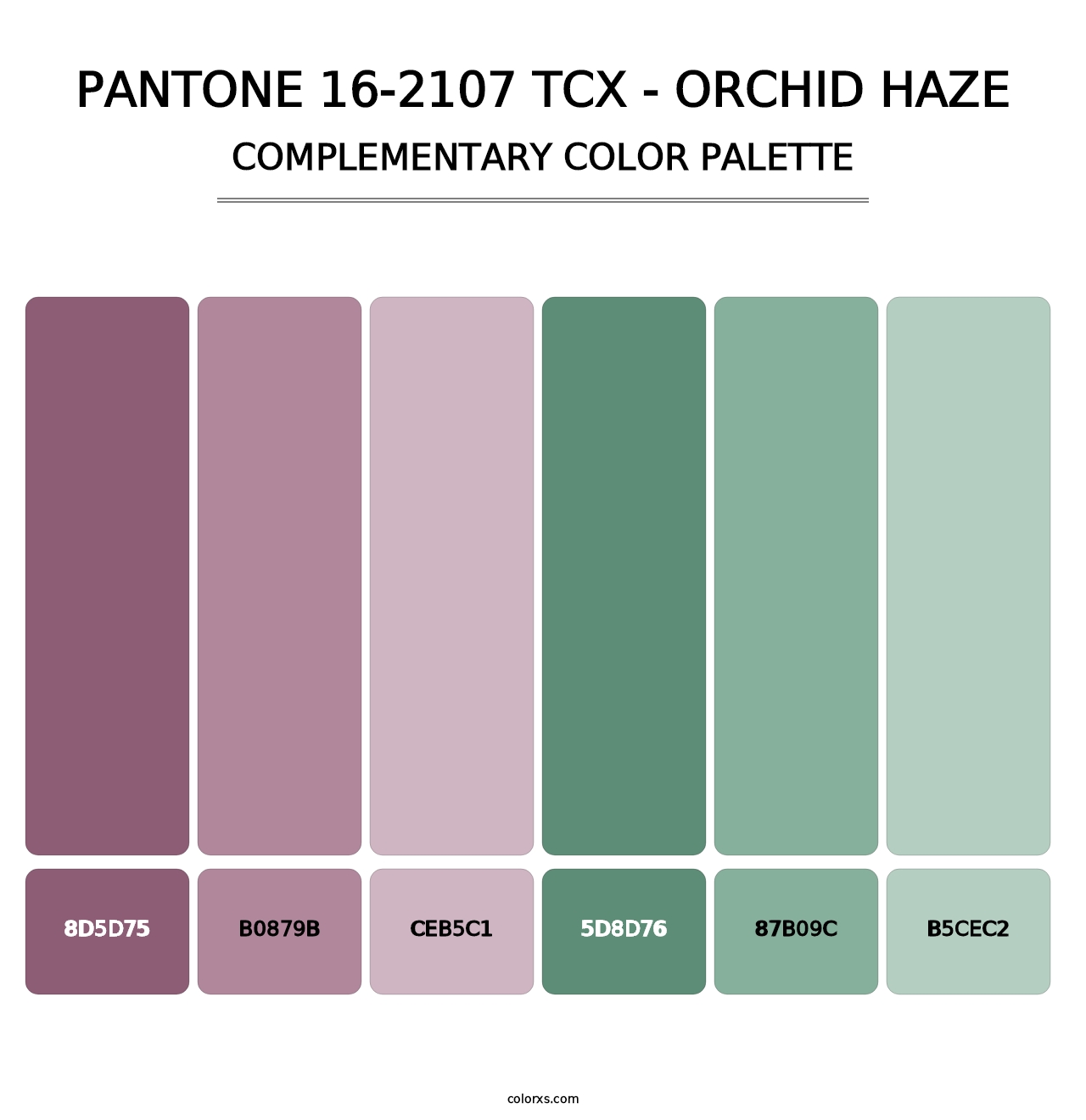 PANTONE 16-2107 TCX - Orchid Haze - Complementary Color Palette