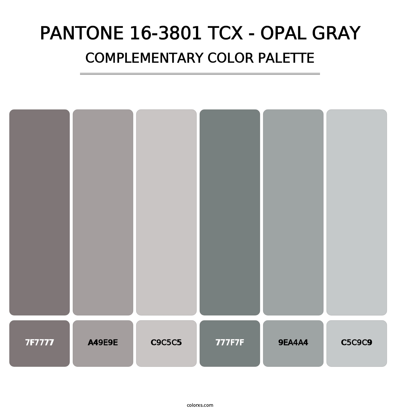 PANTONE 16-3801 TCX - Opal Gray - Complementary Color Palette