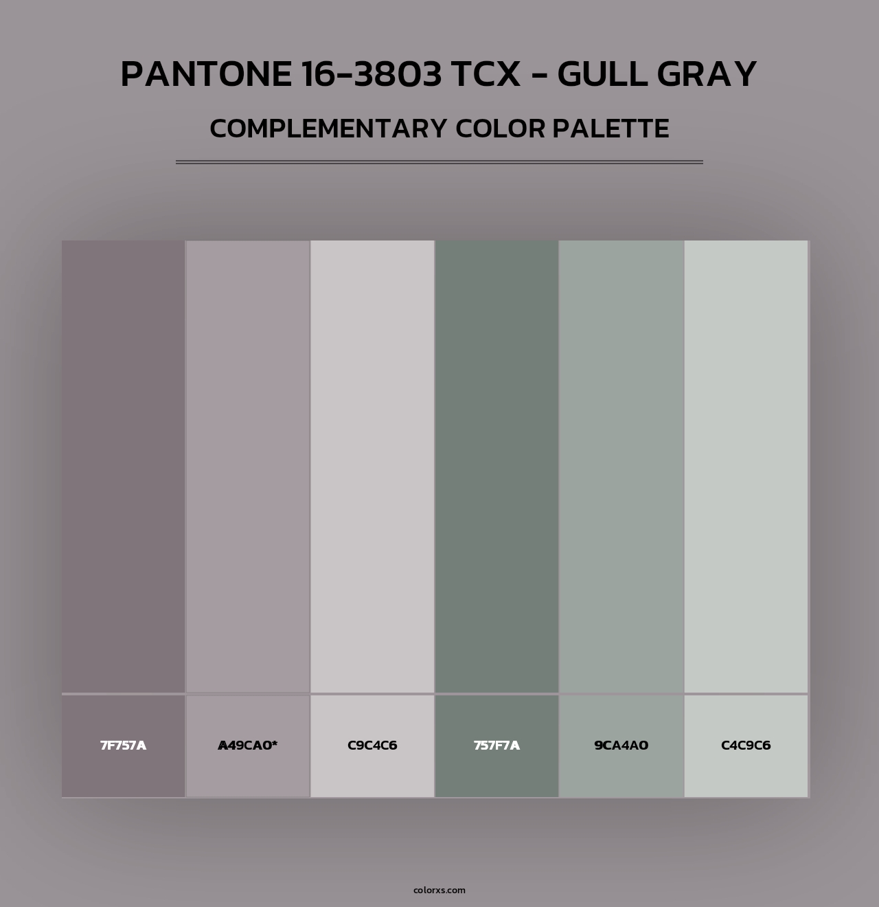PANTONE 16-3803 TCX - Gull Gray - Complementary Color Palette