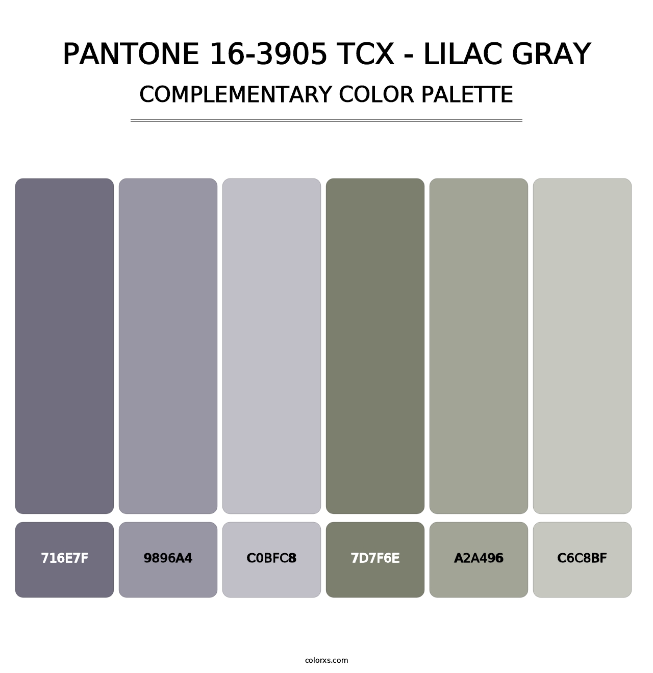 PANTONE 16-3905 TCX - Lilac Gray - Complementary Color Palette