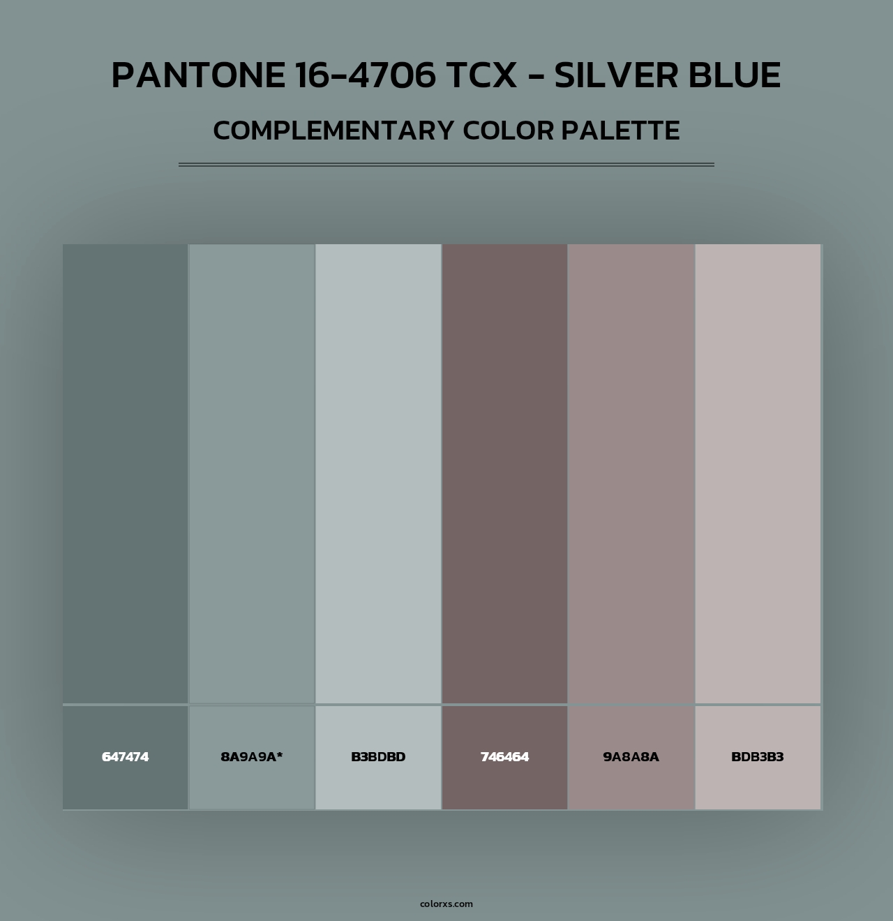 PANTONE 16-4706 TCX - Silver Blue - Complementary Color Palette