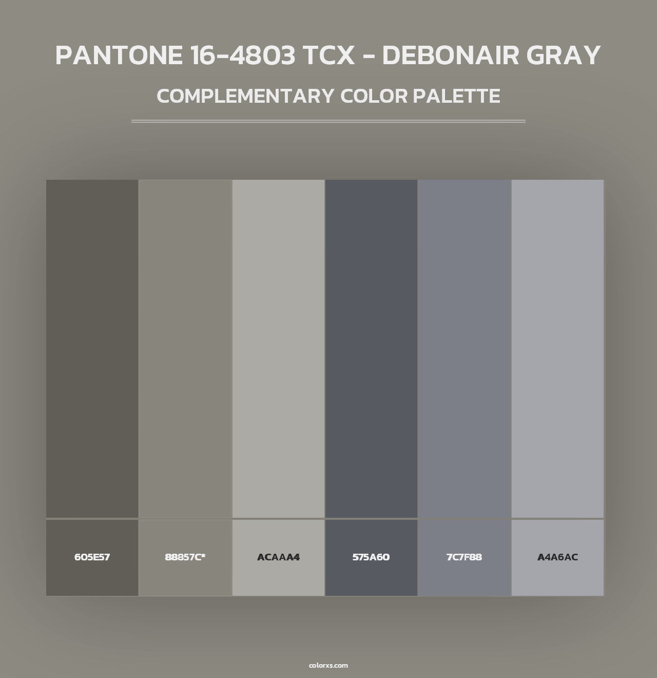 PANTONE 16-4803 TCX - Debonair Gray - Complementary Color Palette