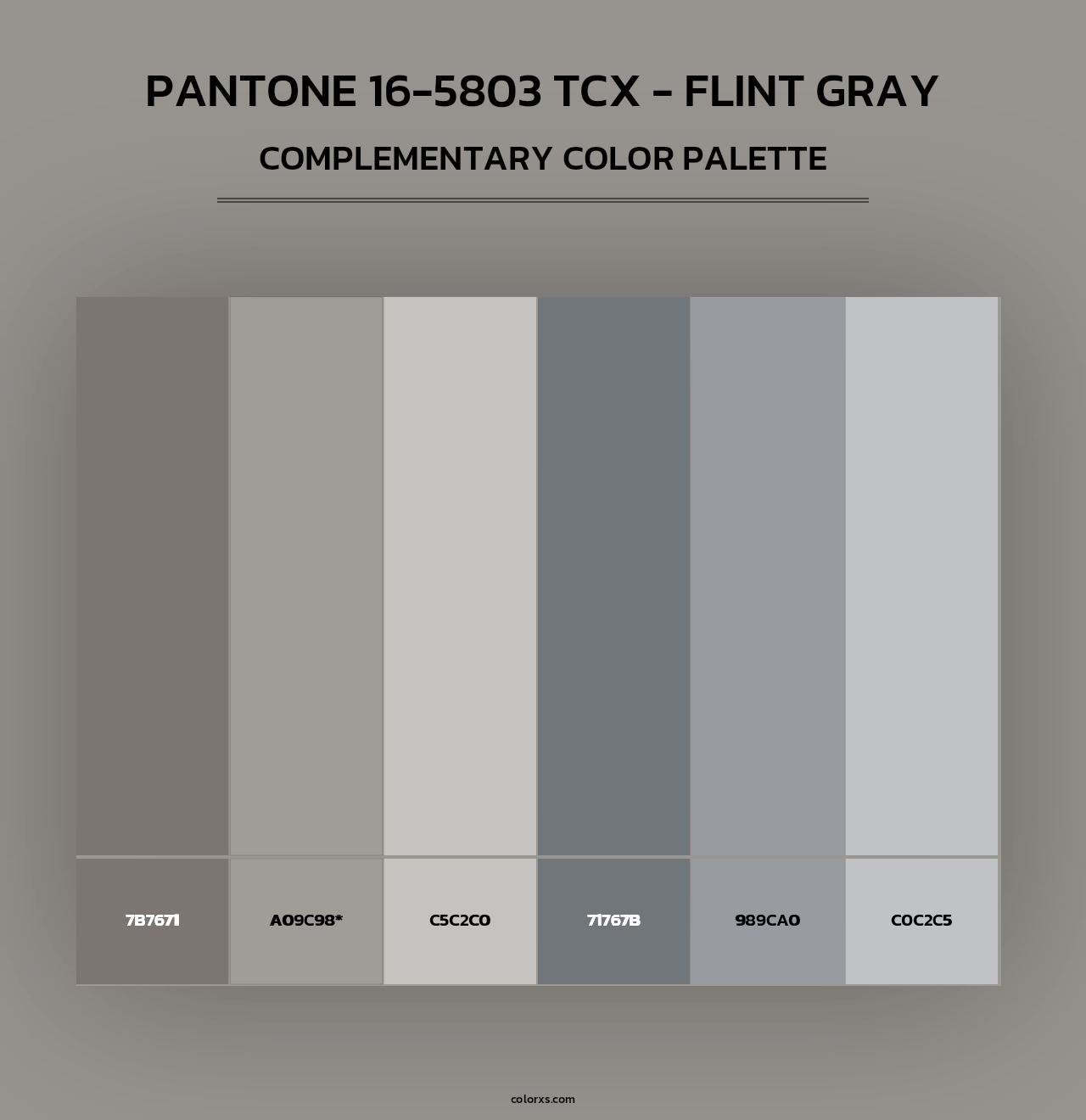 PANTONE 16-5803 TCX - Flint Gray - Complementary Color Palette