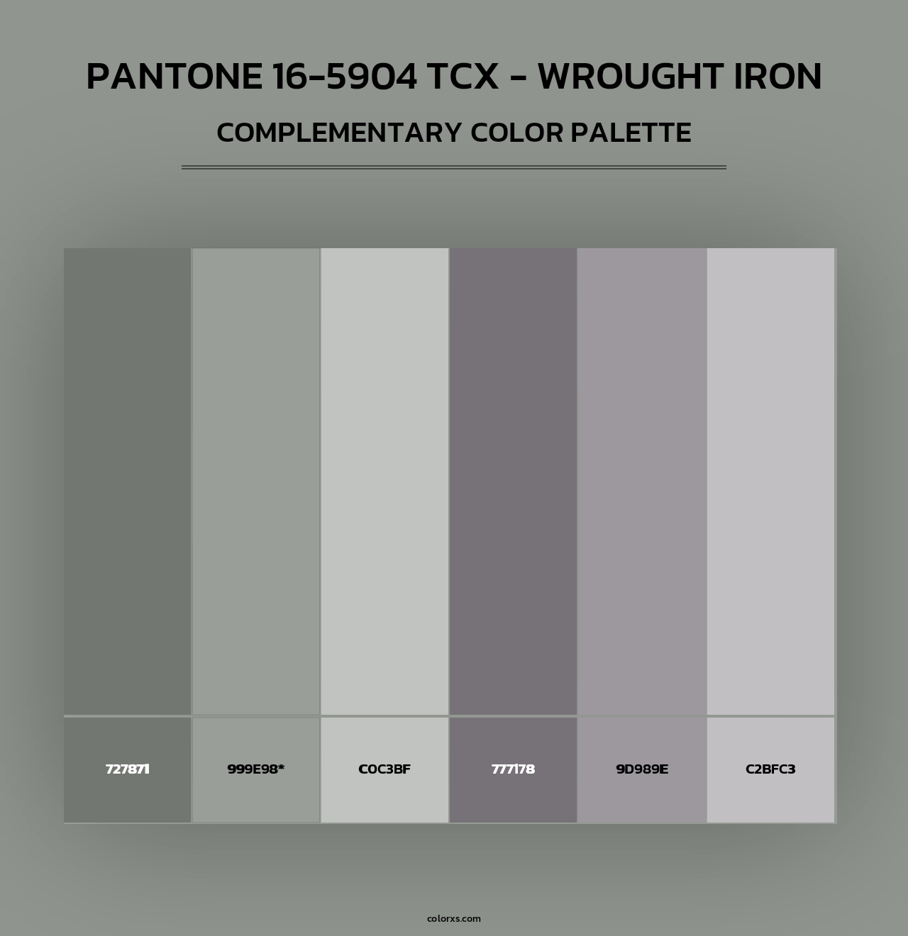 PANTONE 16-5904 TCX - Wrought Iron - Complementary Color Palette