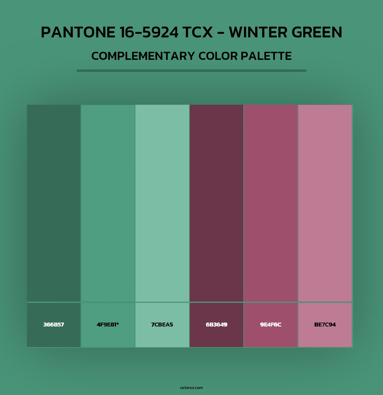 PANTONE 16-5924 TCX - Winter Green - Complementary Color Palette