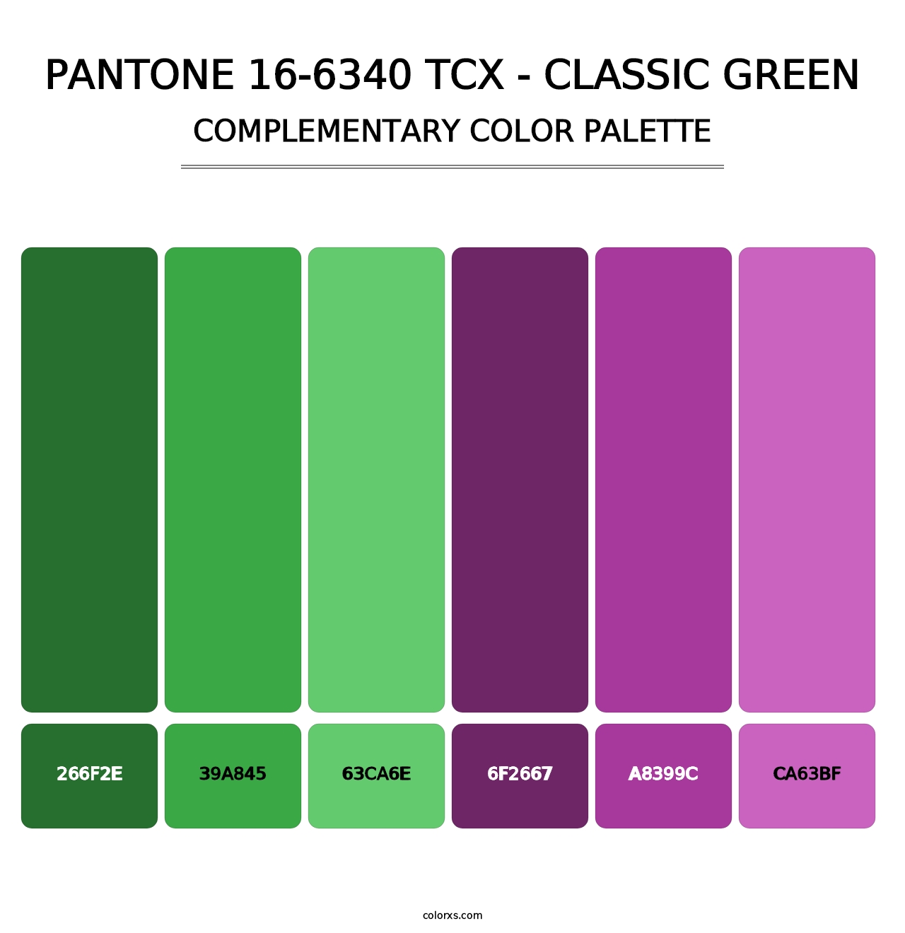 PANTONE 16-6340 TCX - Classic Green - Complementary Color Palette