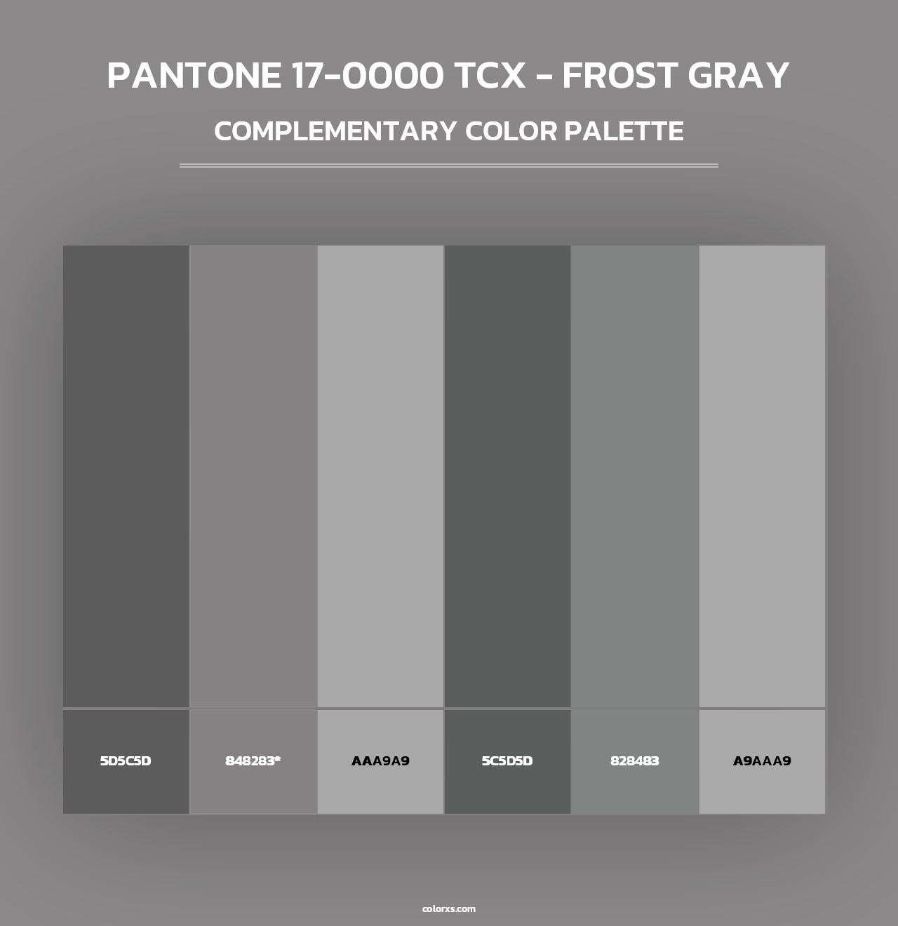 PANTONE 17-0000 TCX - Frost Gray - Complementary Color Palette
