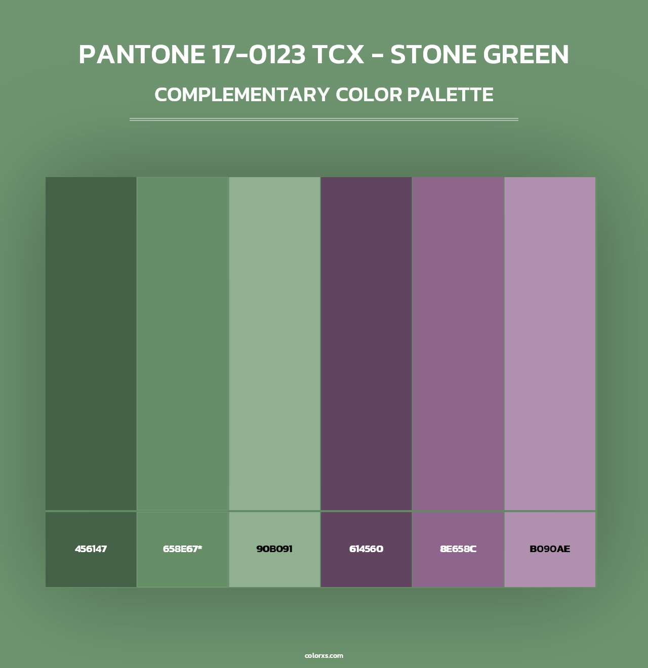 PANTONE 17-0123 TCX - Stone Green - Complementary Color Palette