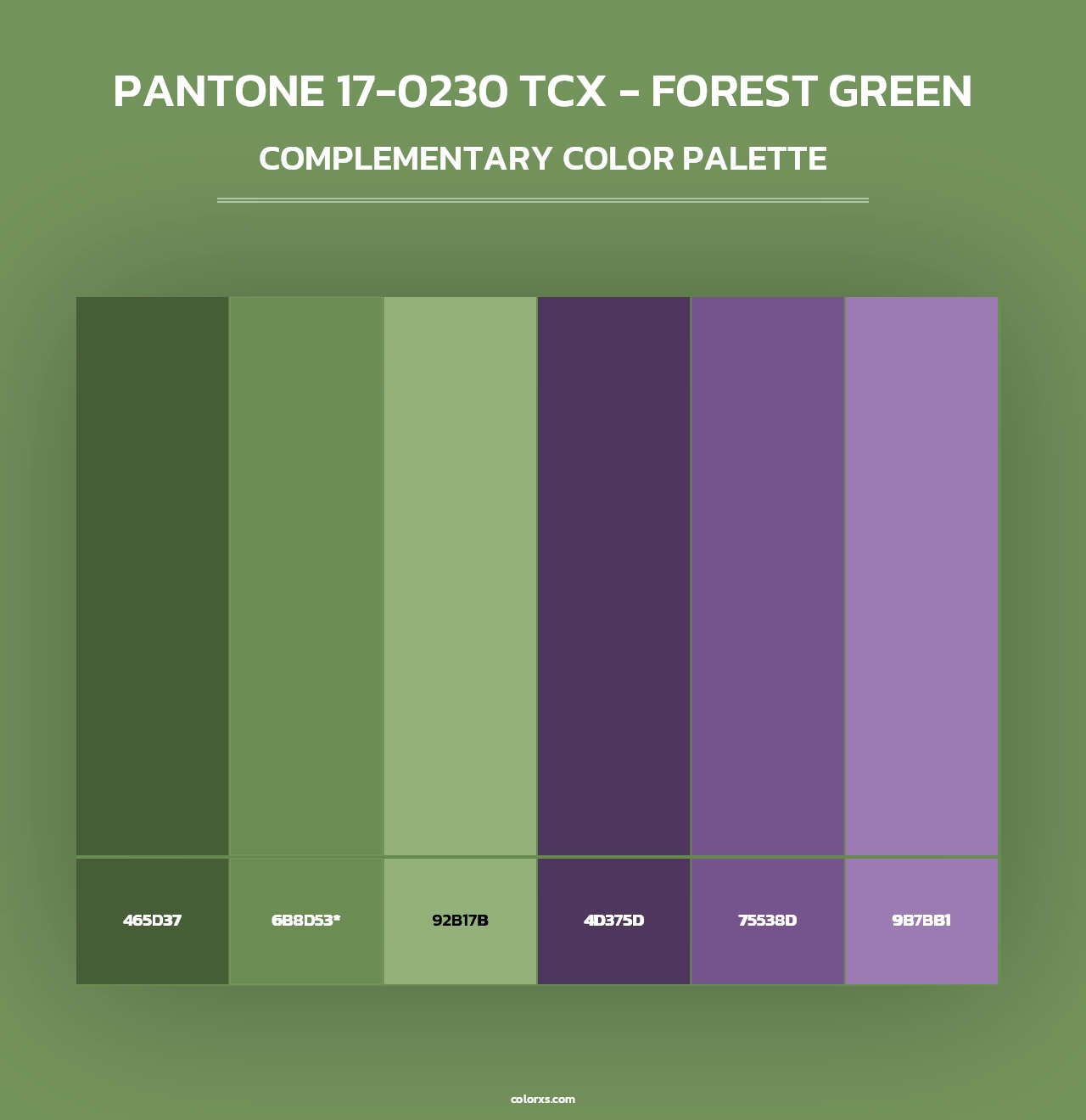 PANTONE 17-0230 TCX - Forest Green - Complementary Color Palette