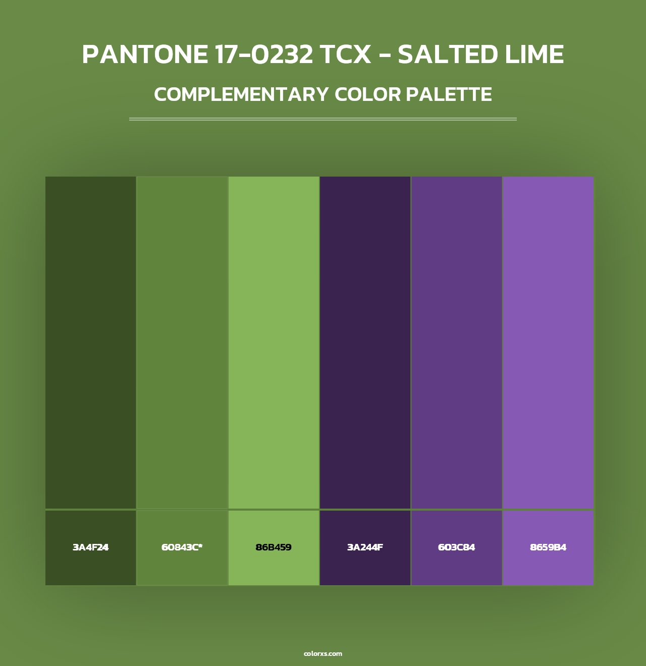 PANTONE 17-0232 TCX - Salted Lime - Complementary Color Palette