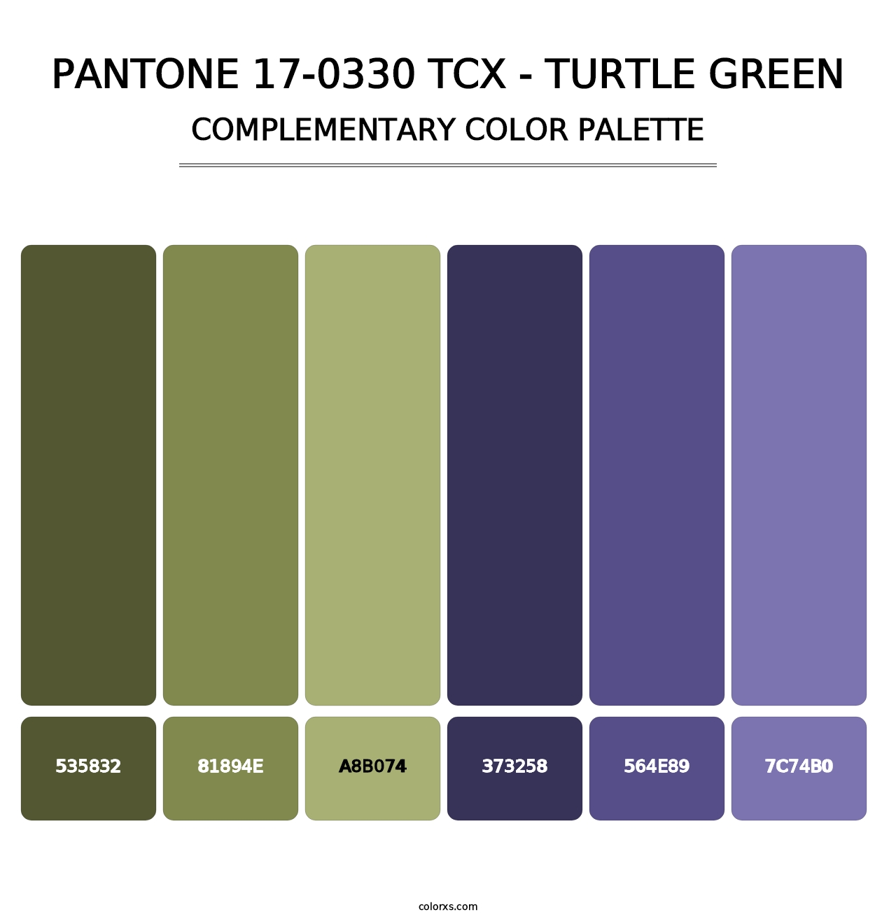 PANTONE 17-0330 TCX - Turtle Green - Complementary Color Palette