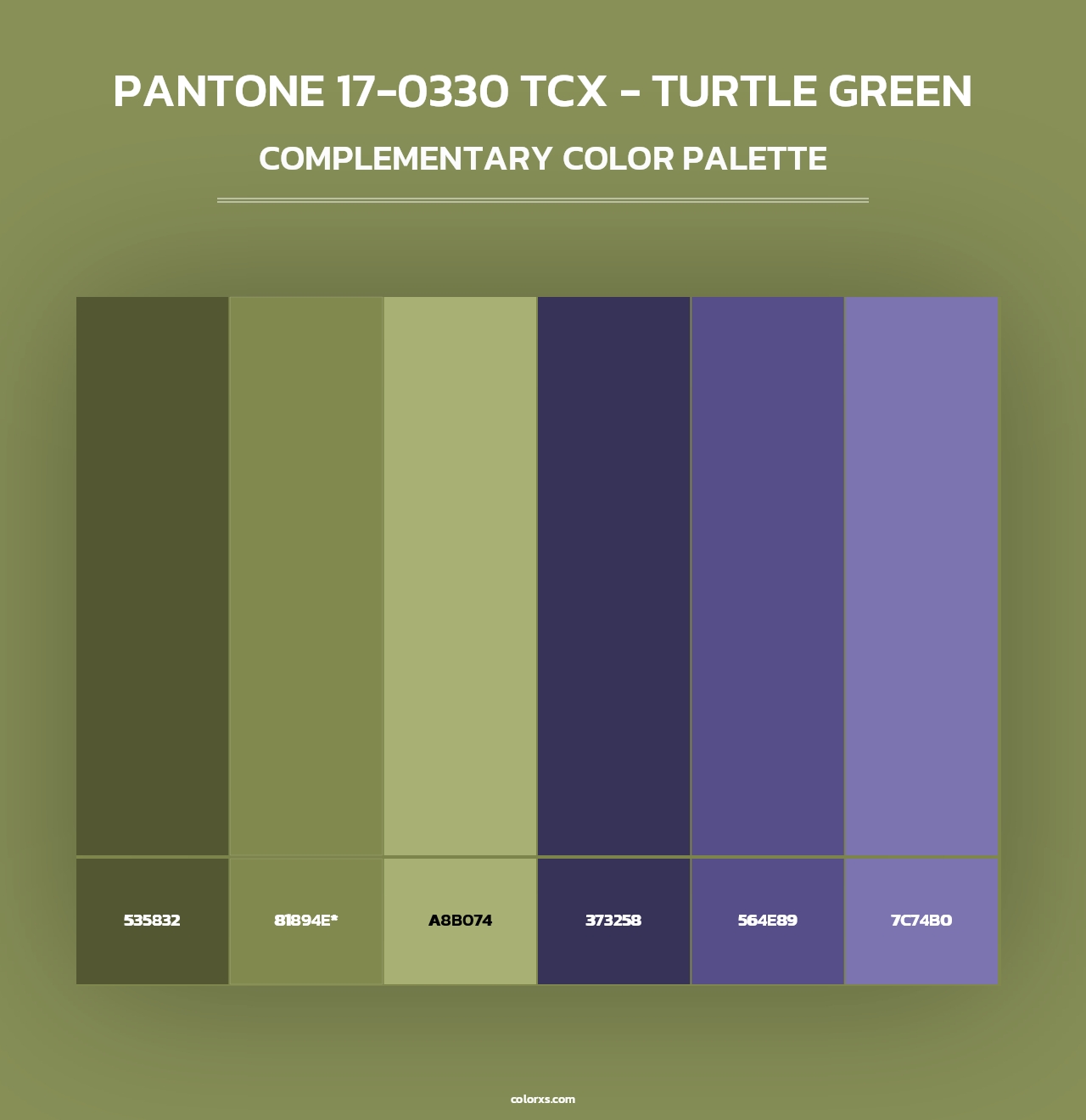 PANTONE 17-0330 TCX - Turtle Green - Complementary Color Palette