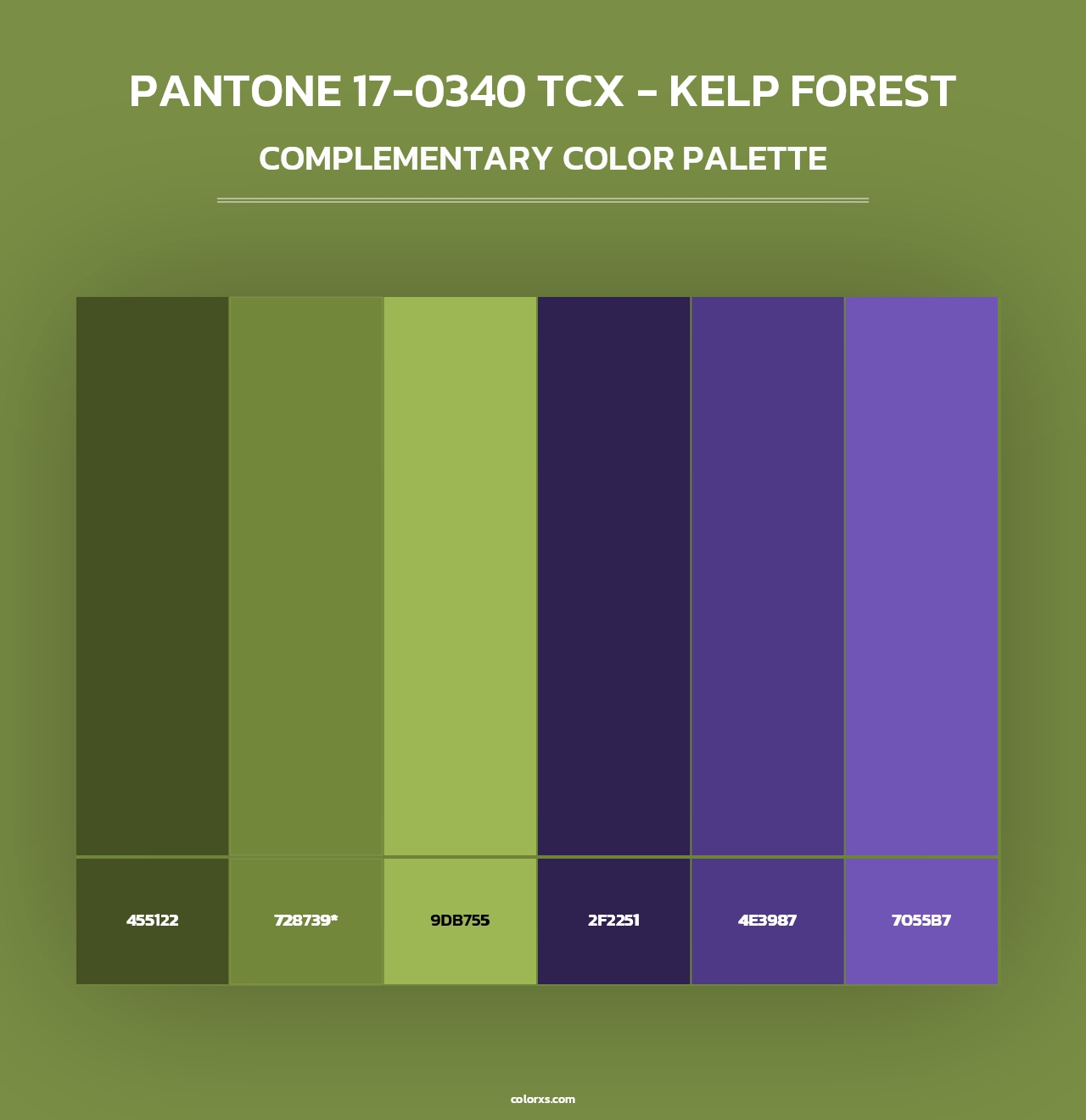 PANTONE 17-0340 TCX - Kelp Forest - Complementary Color Palette