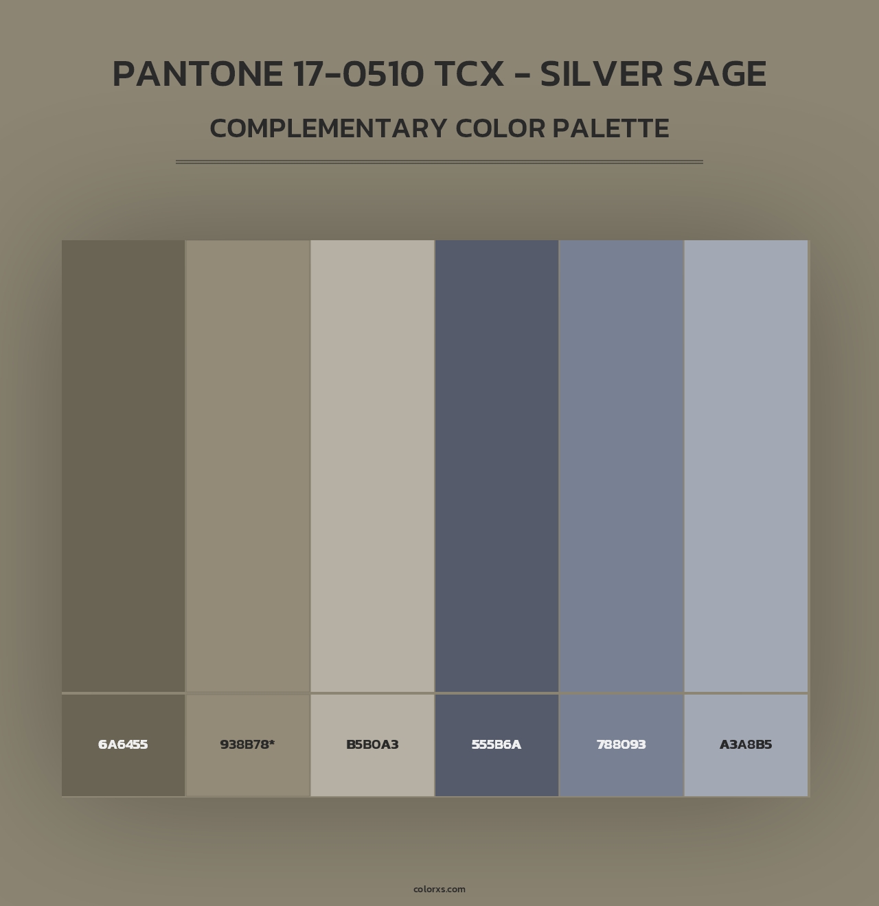 PANTONE 17-0510 TCX - Silver Sage - Complementary Color Palette