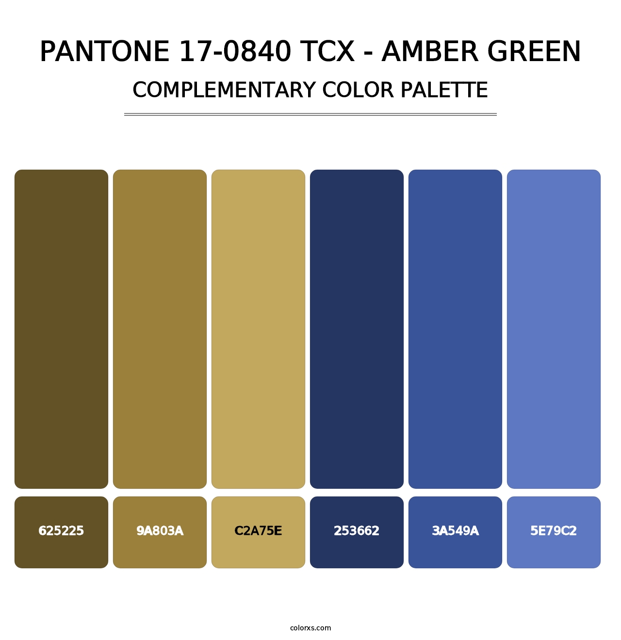 PANTONE 17-0840 TCX - Amber Green - Complementary Color Palette