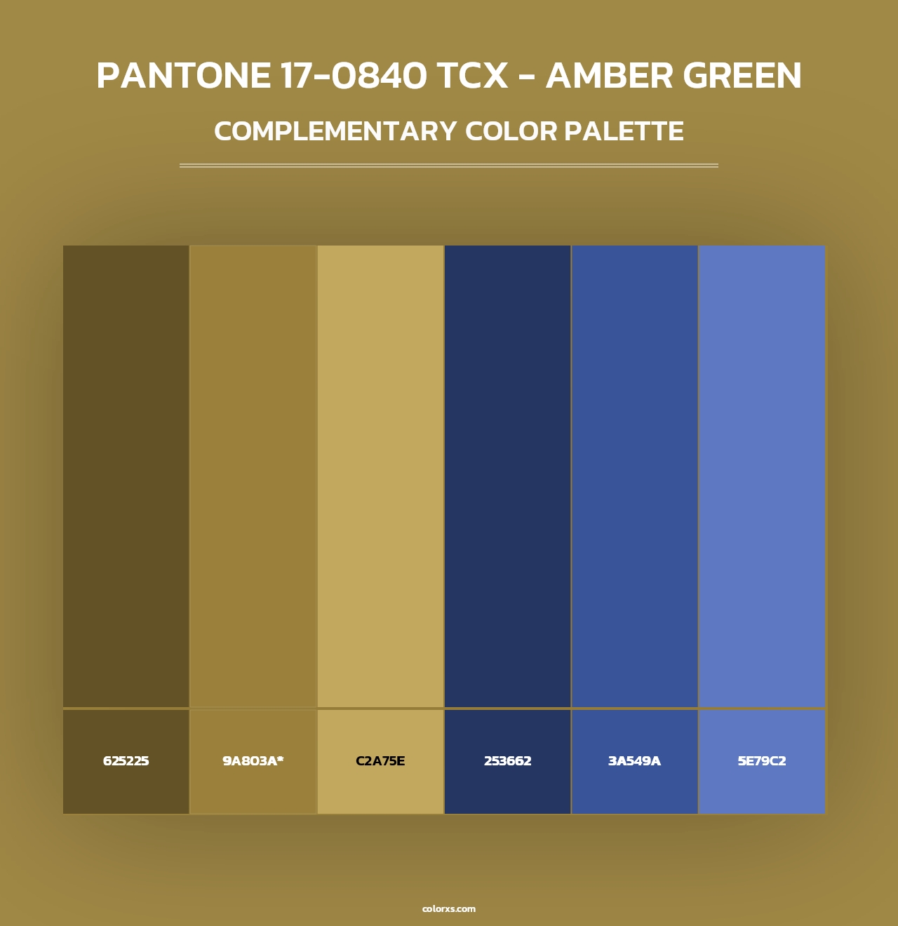 PANTONE 17-0840 TCX - Amber Green - Complementary Color Palette