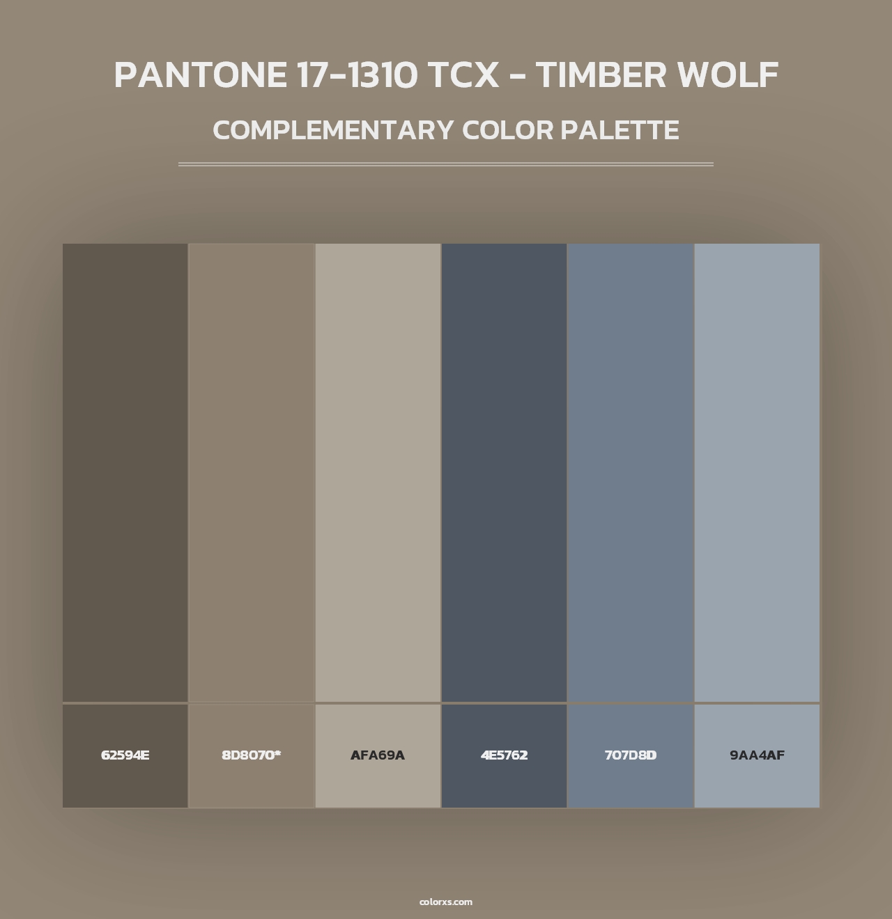PANTONE 17-1310 TCX - Timber Wolf - Complementary Color Palette