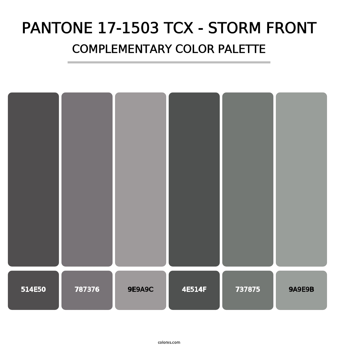 PANTONE 17-1503 TCX - Storm Front - Complementary Color Palette