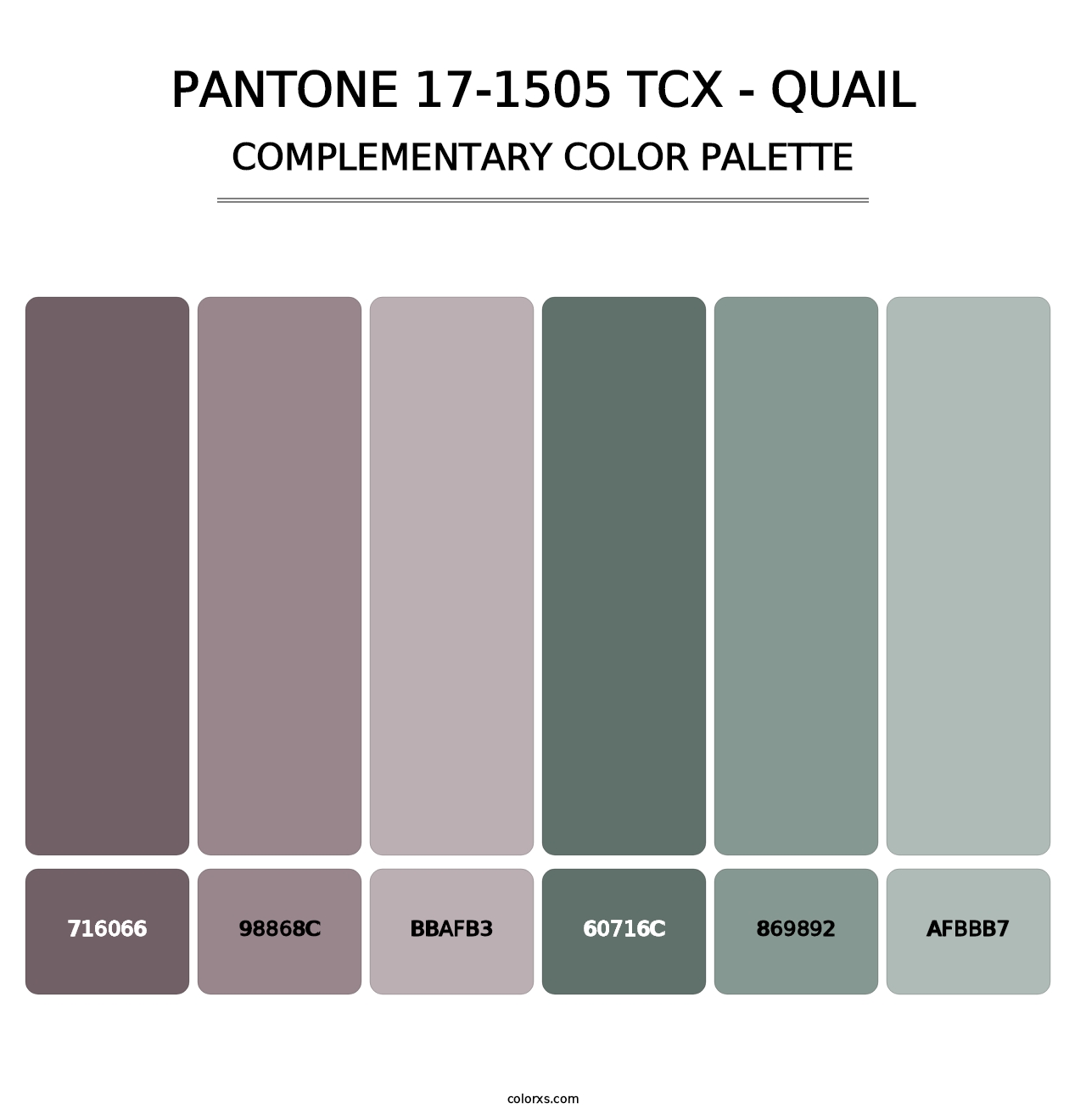 PANTONE 17-1505 TCX - Quail - Complementary Color Palette
