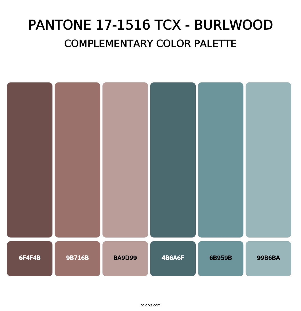PANTONE 17-1516 TCX - Burlwood - Complementary Color Palette