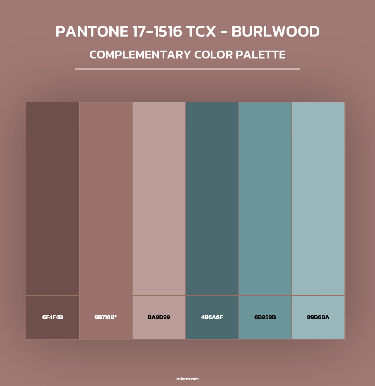 PANTONE 17-1516 TCX - Burlwood - Complementary Color Palette