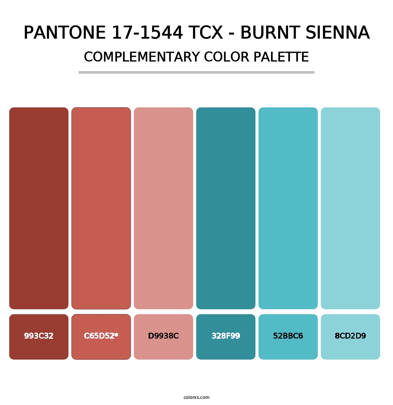 PANTONE 17-1544 TCX - Burnt Sienna - Complementary Color Palette