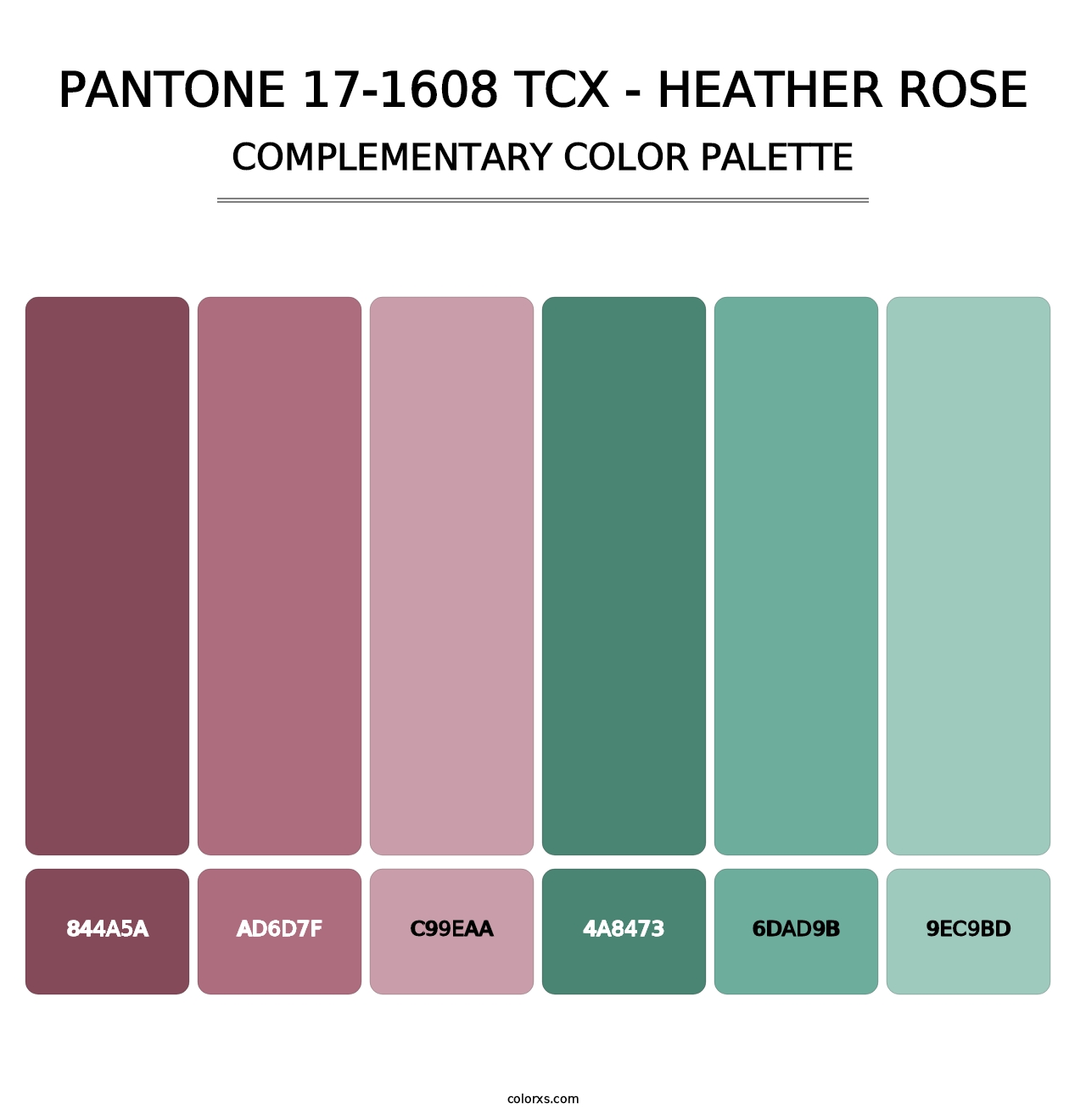 PANTONE 17-1608 TCX - Heather Rose - Complementary Color Palette
